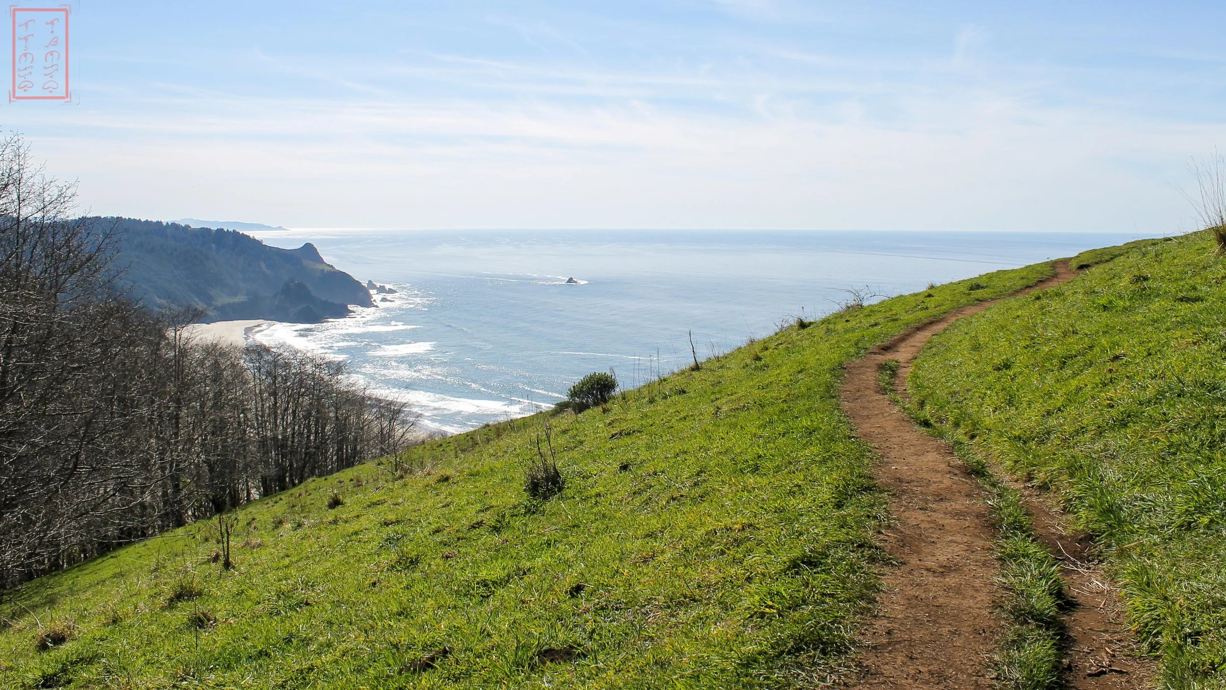 OR: Cascade Head
