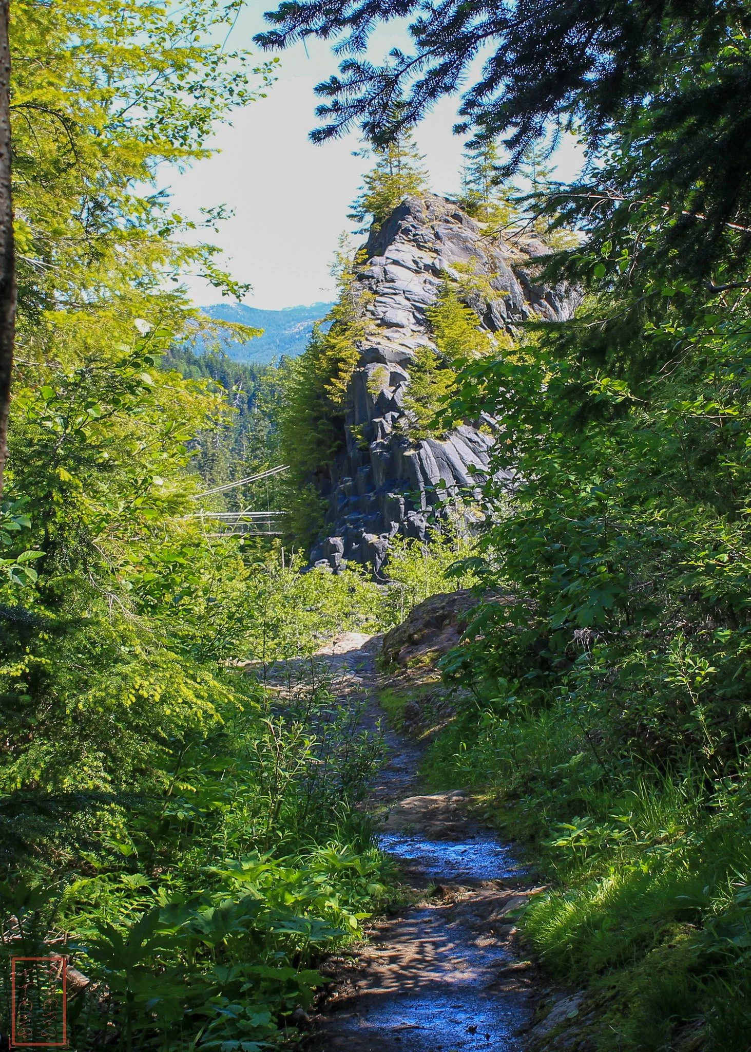 WA: Lava Canyon
