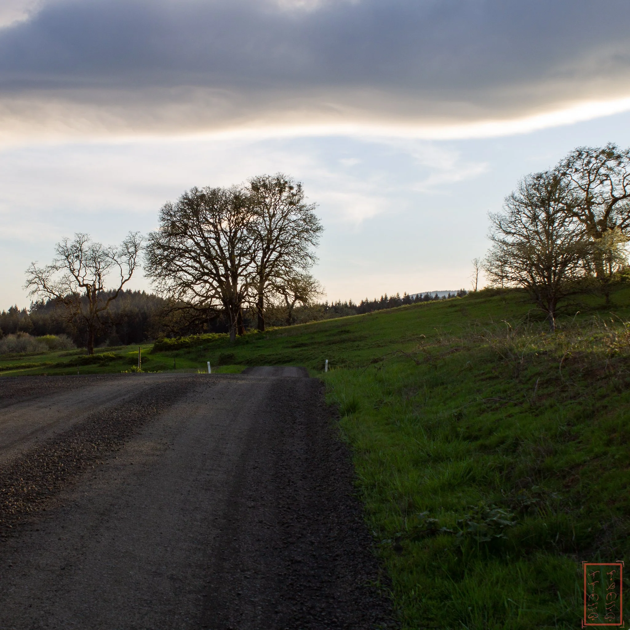 OR: William L. Finley National Wildlife Refuge