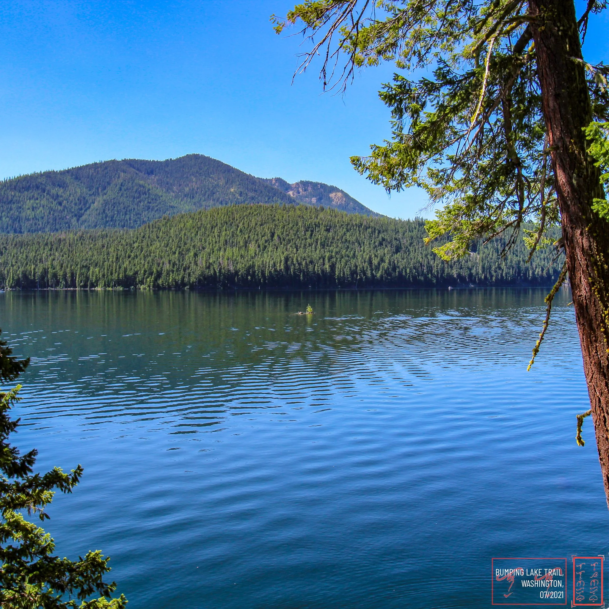 WA: Bumping Lake