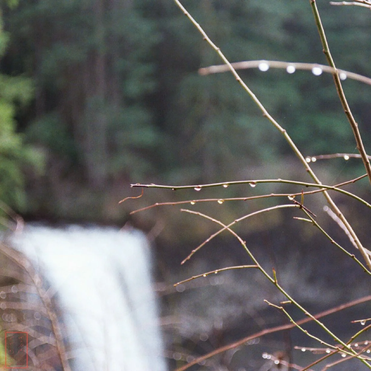 OR: Silver Falls