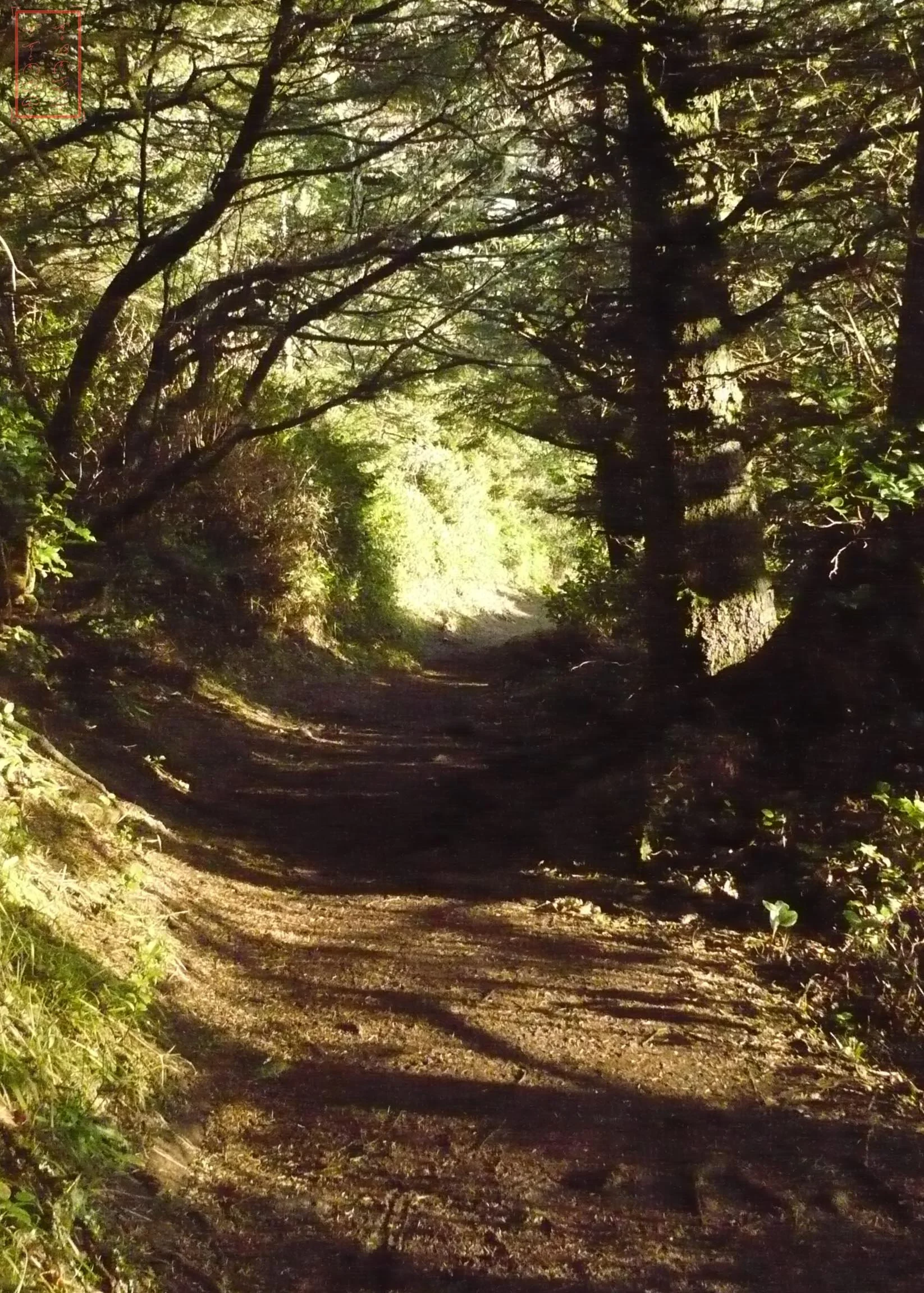 OR: Cape Lookout