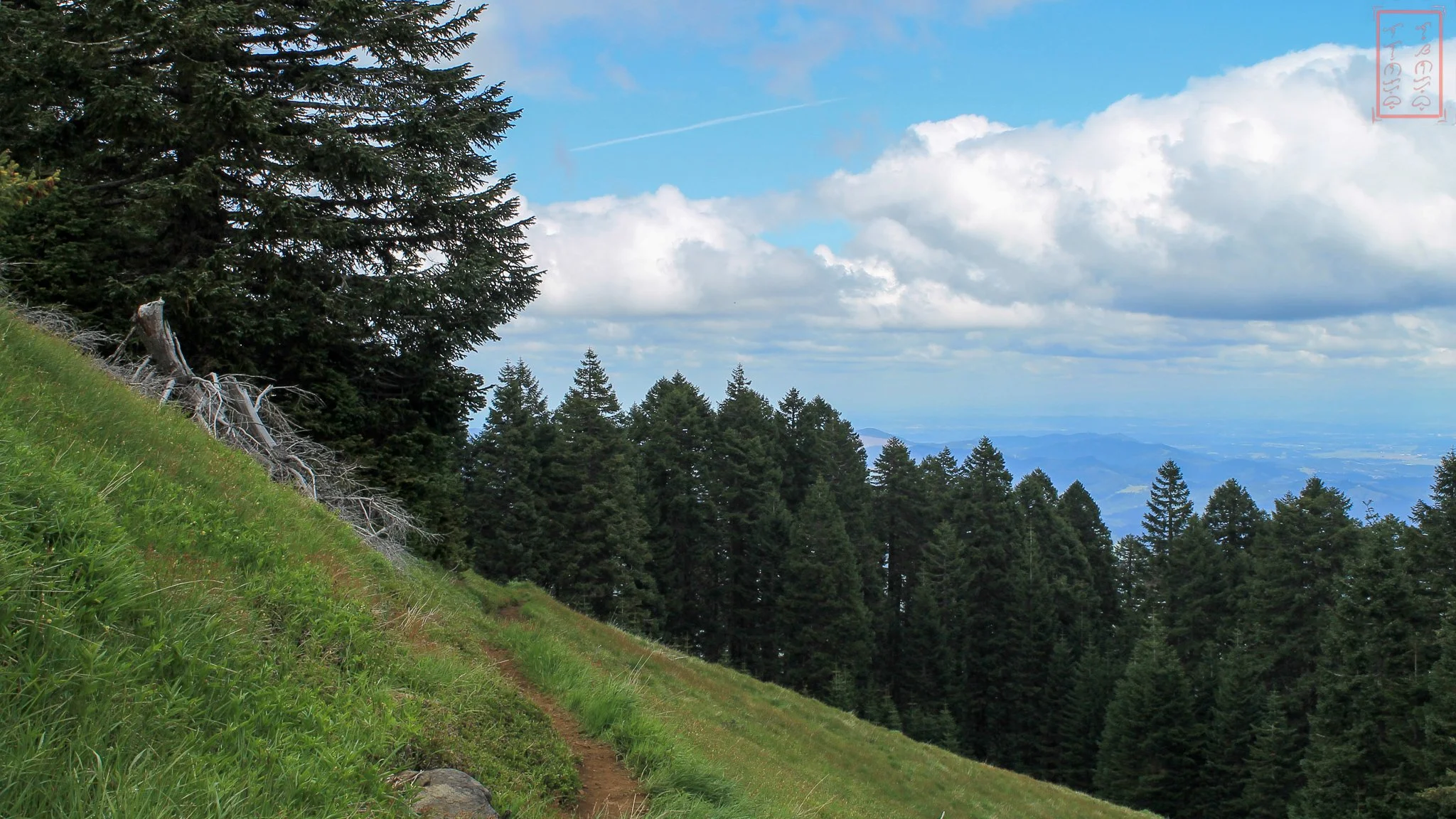 OR: Mary's Peak