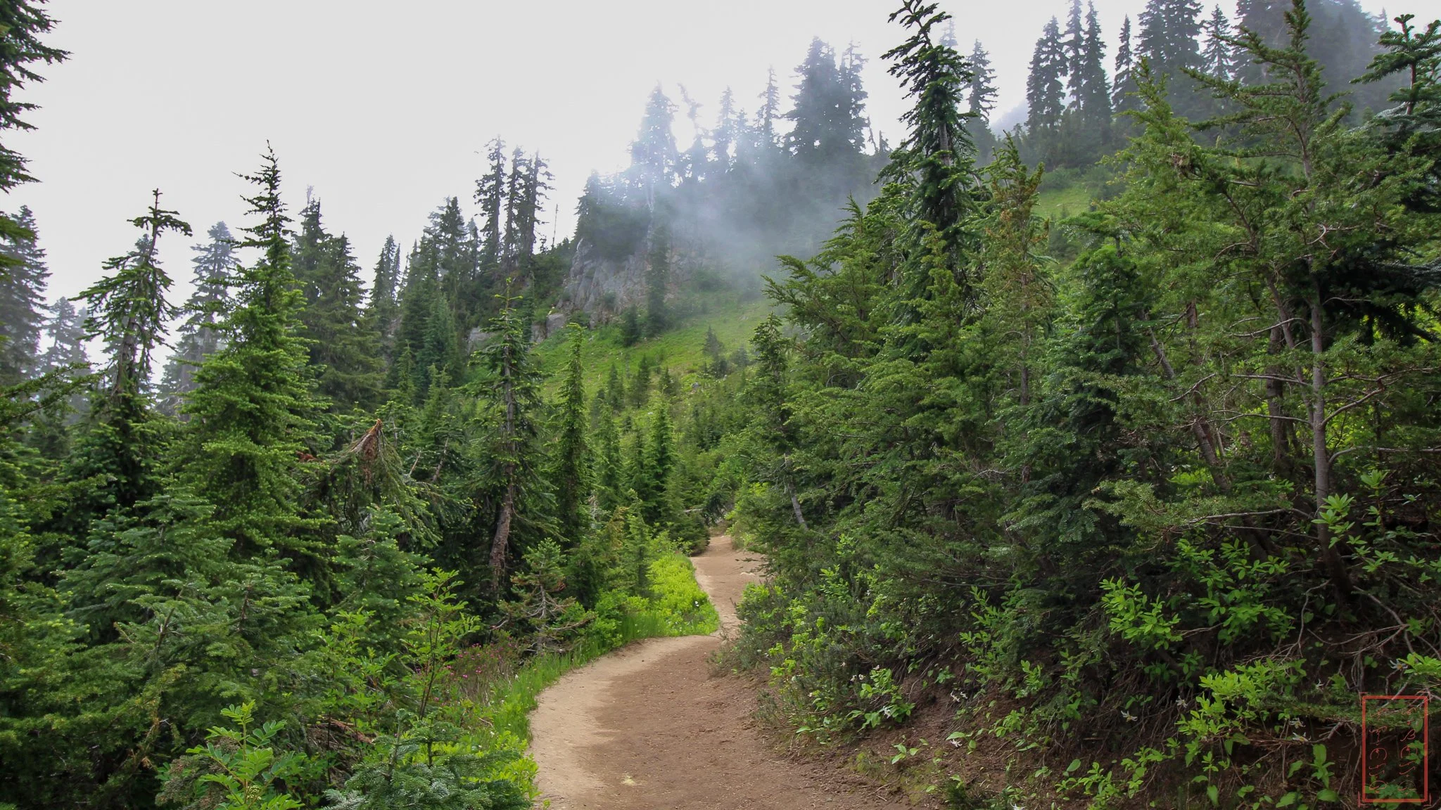 WA: Naches Peak Loop