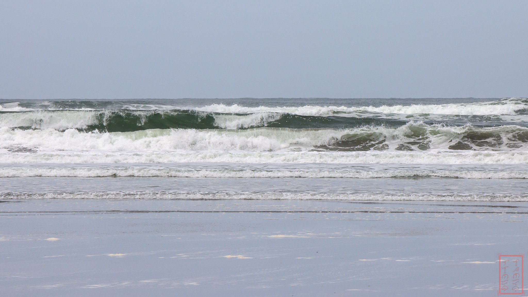 WA: Cape Disappointment