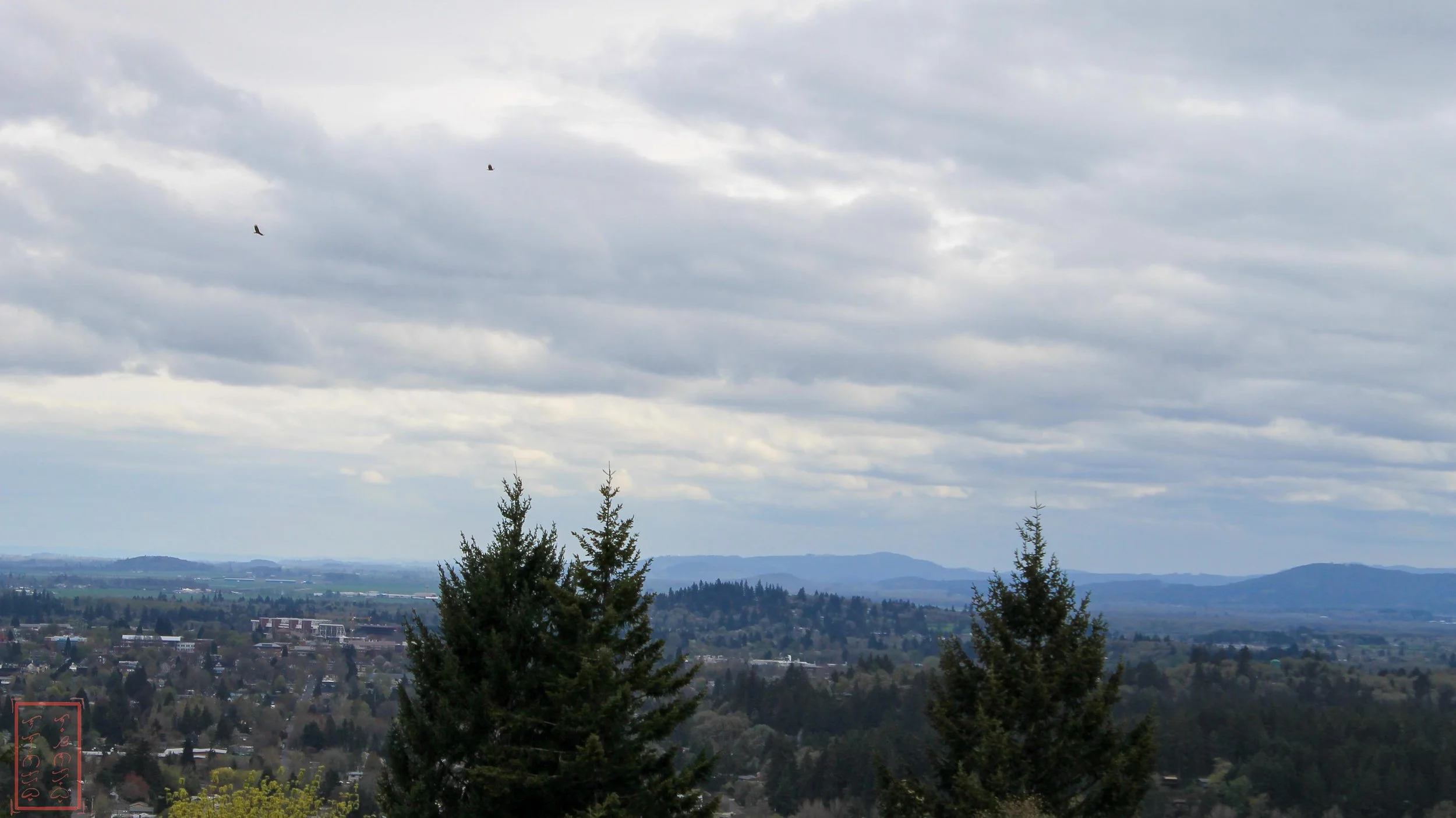 OR: Chip Ross Park and Dimple Hill