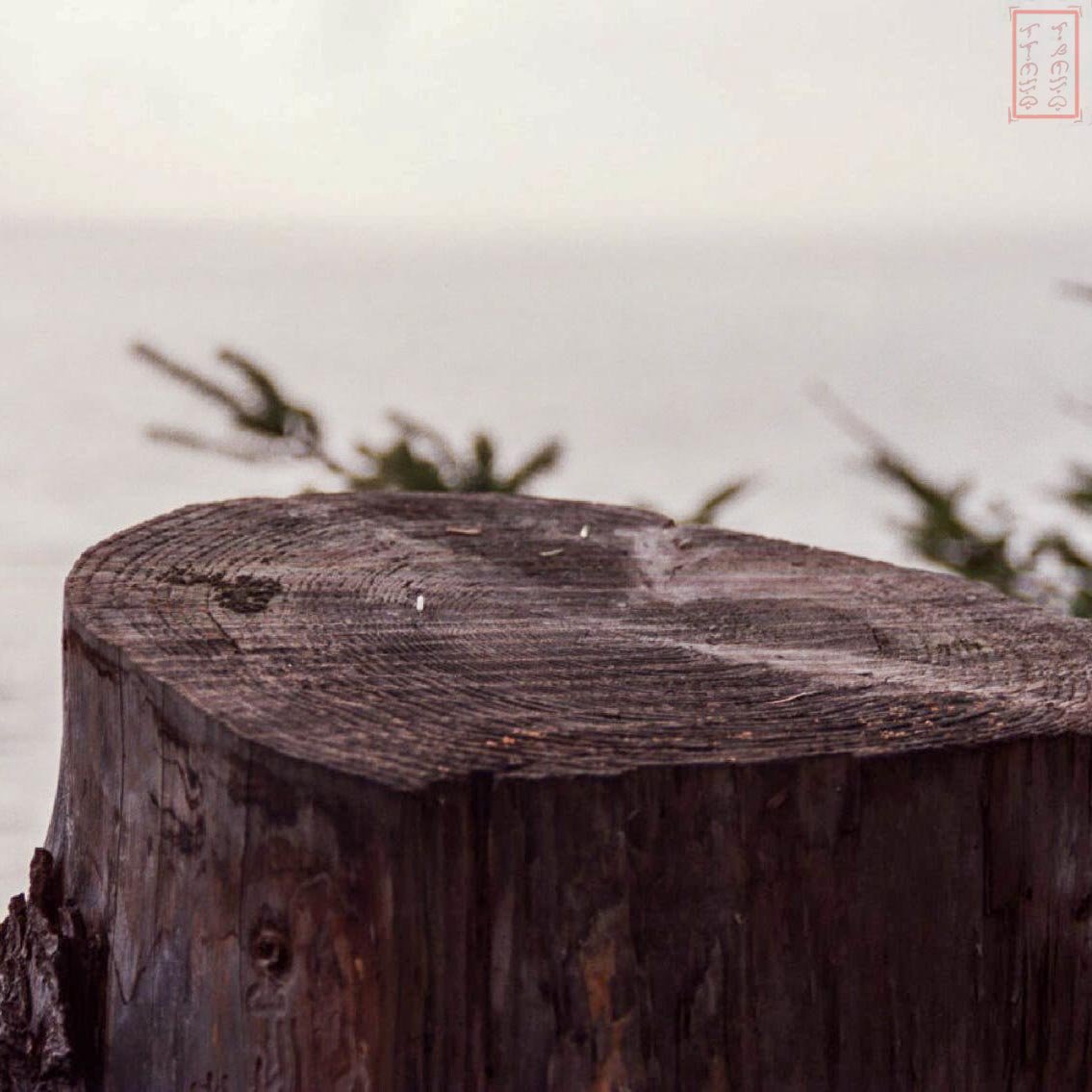 OR: Cape Lookout