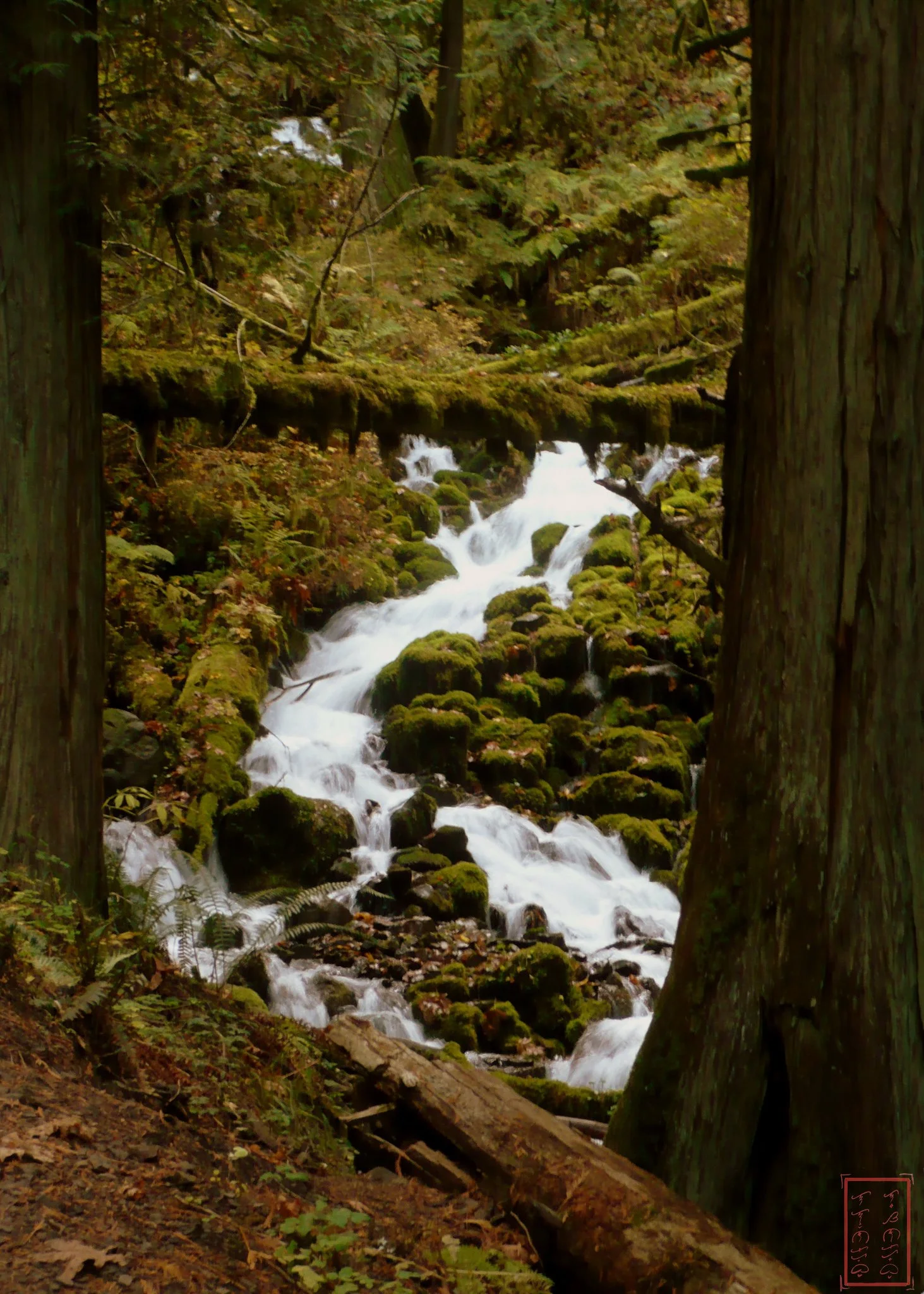 OR: Wahkeena Falls to Multnomah Falls