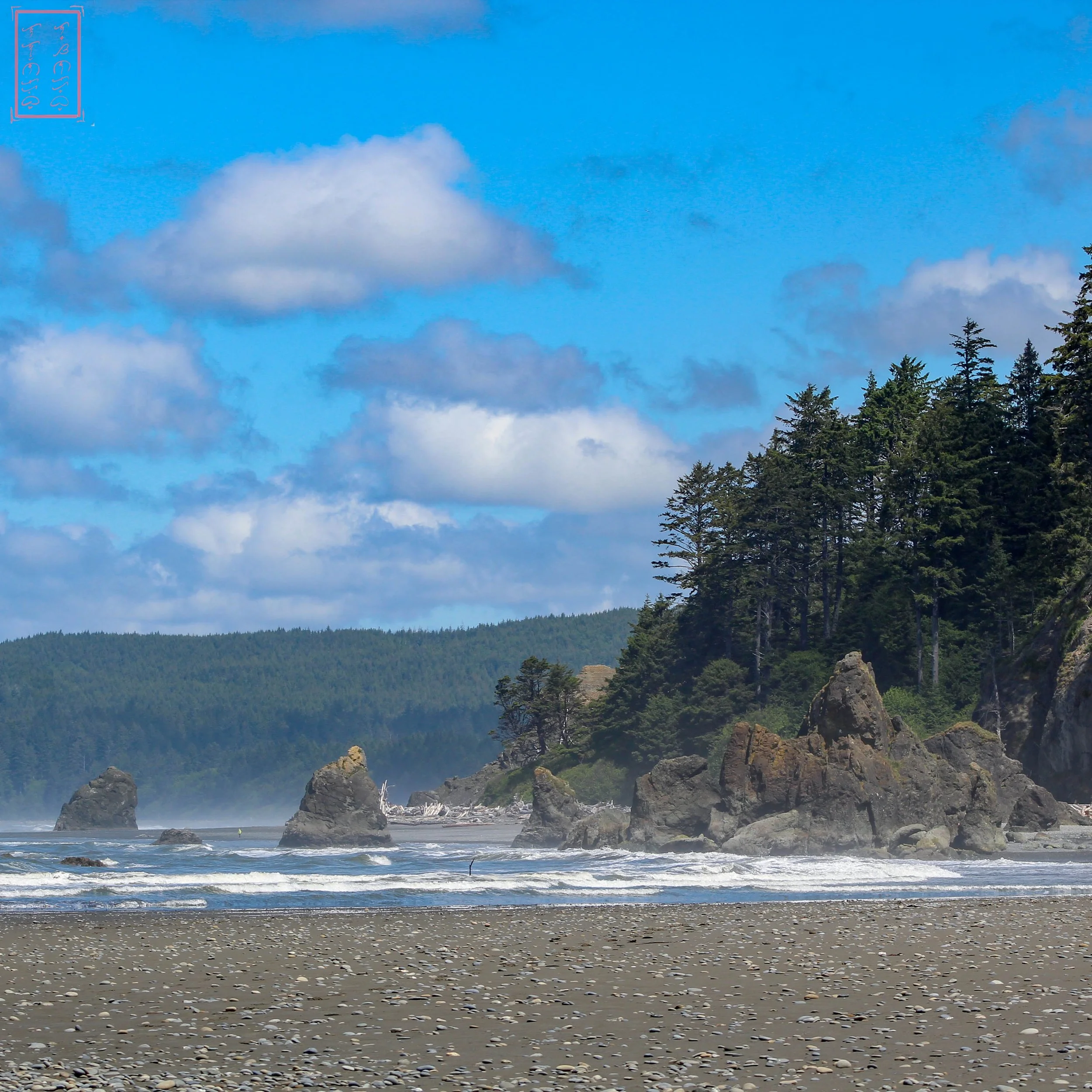 WA: Ruby Beach