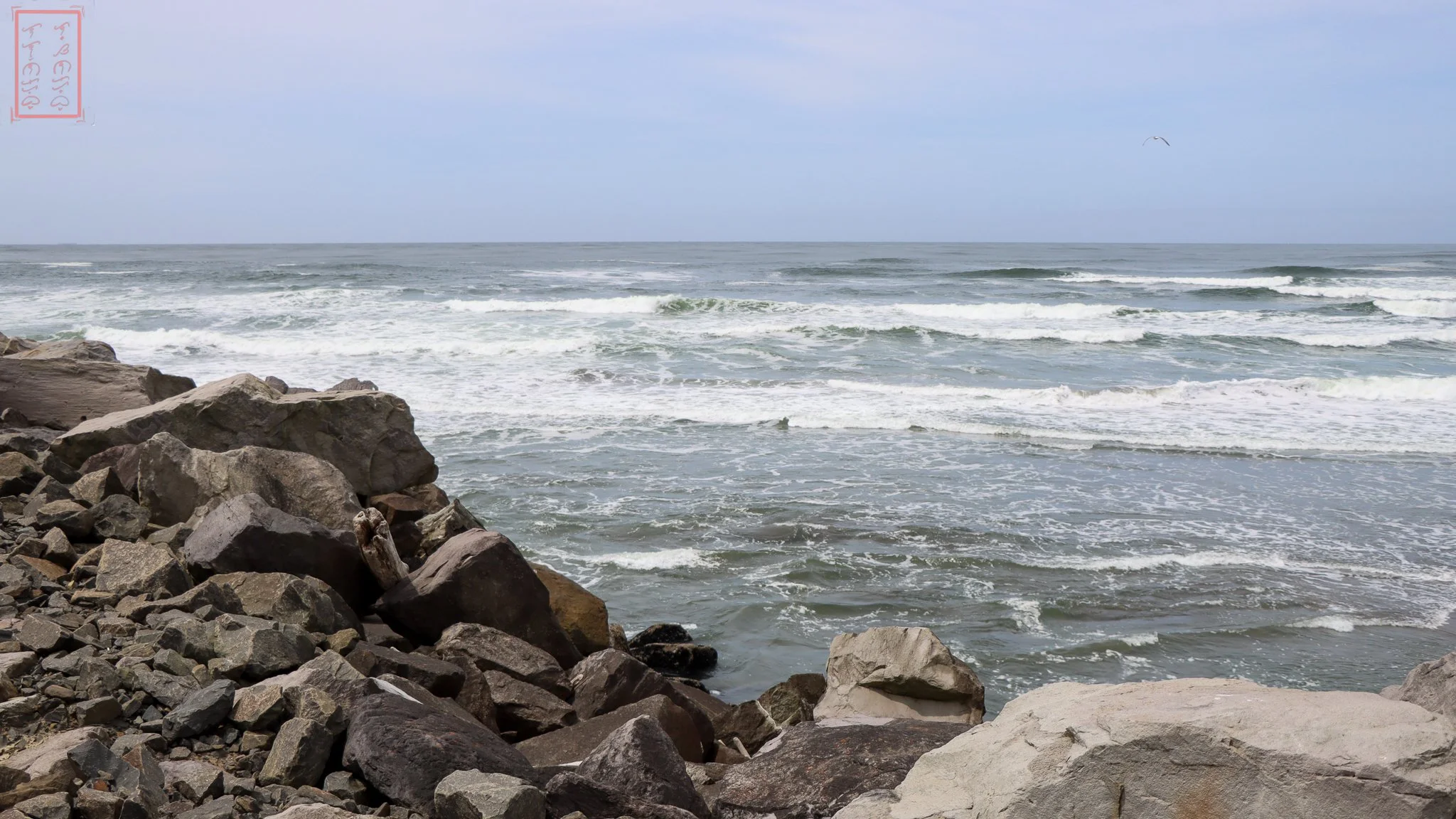 WA: Cape Disappointment