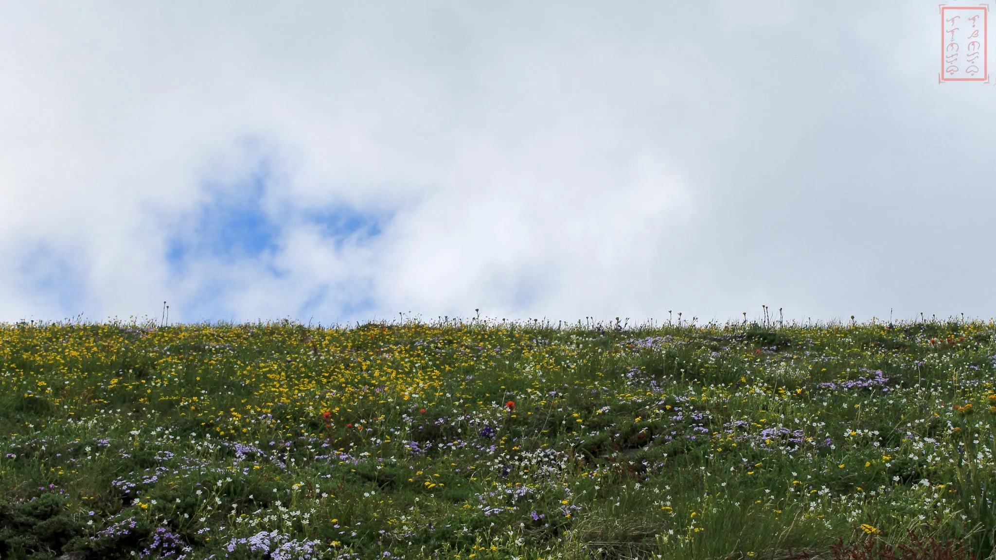 OR: Mary's Peak