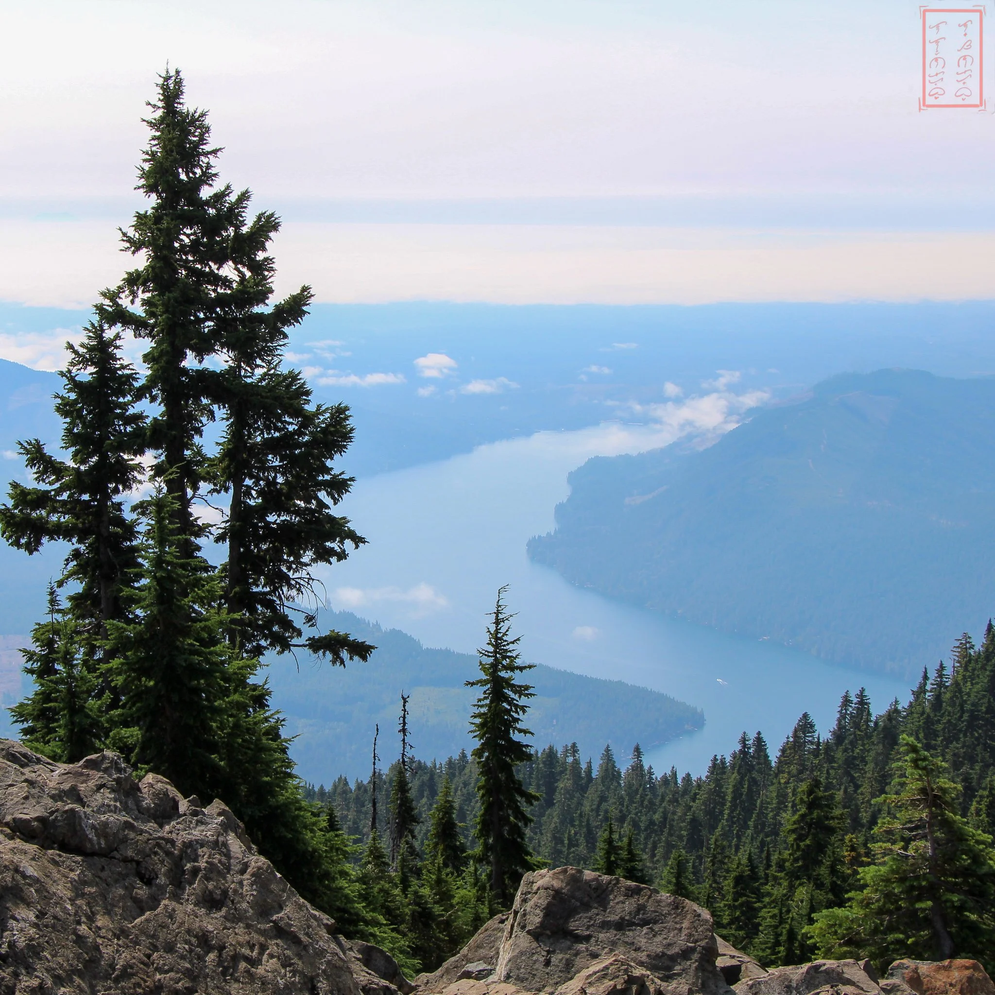 WA: Mount Ellinor