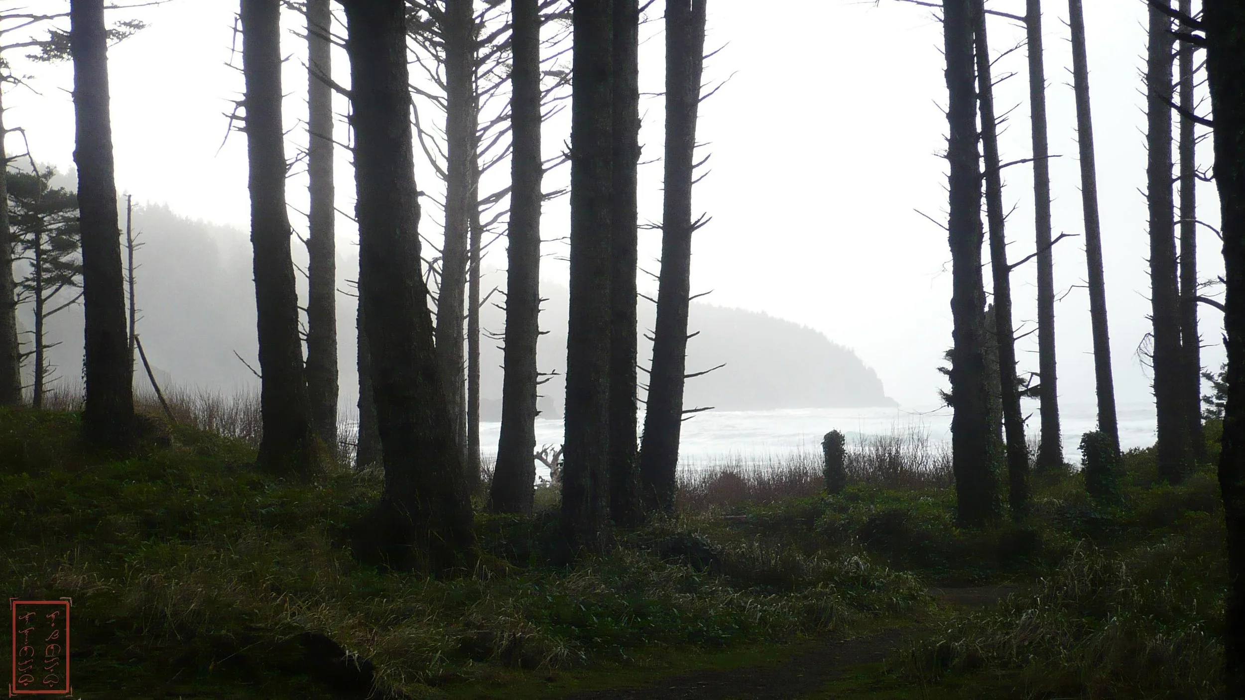 OR: Cape Lookout