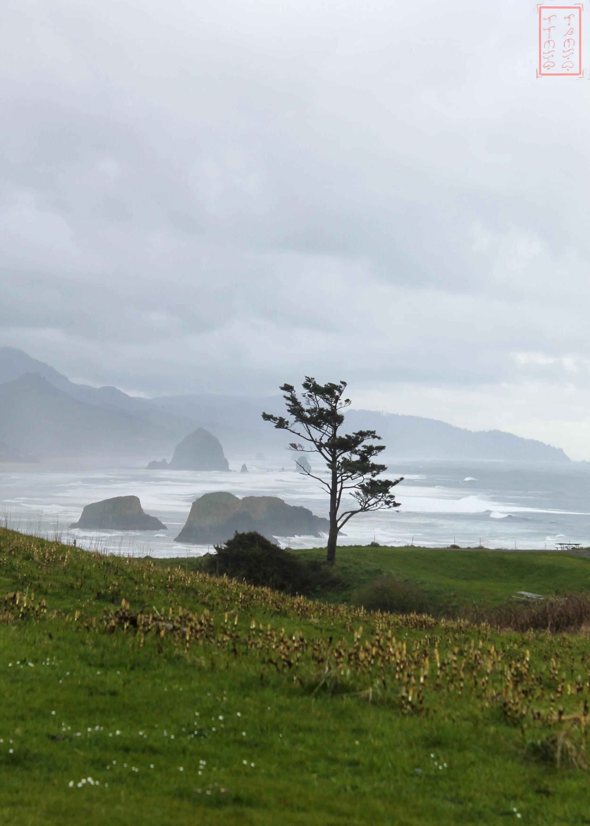 OR: Ecola State Park