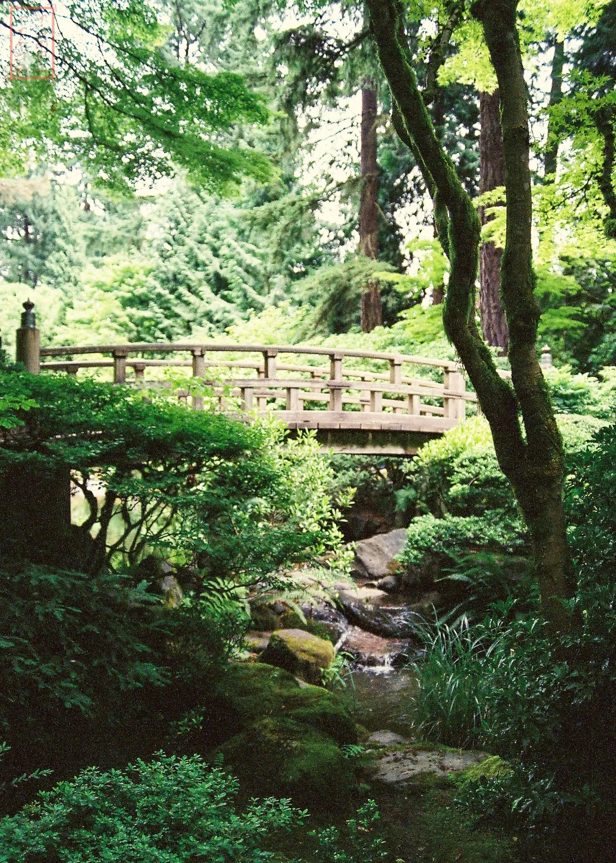 0_Portland_5x7-3.jpg