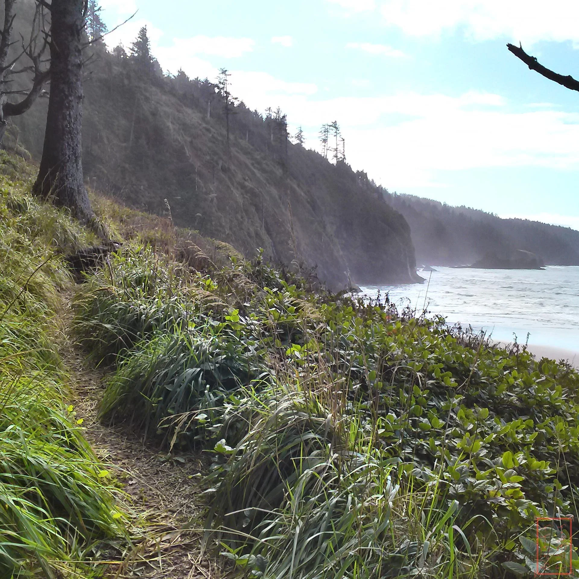 OR: Cape Lookout