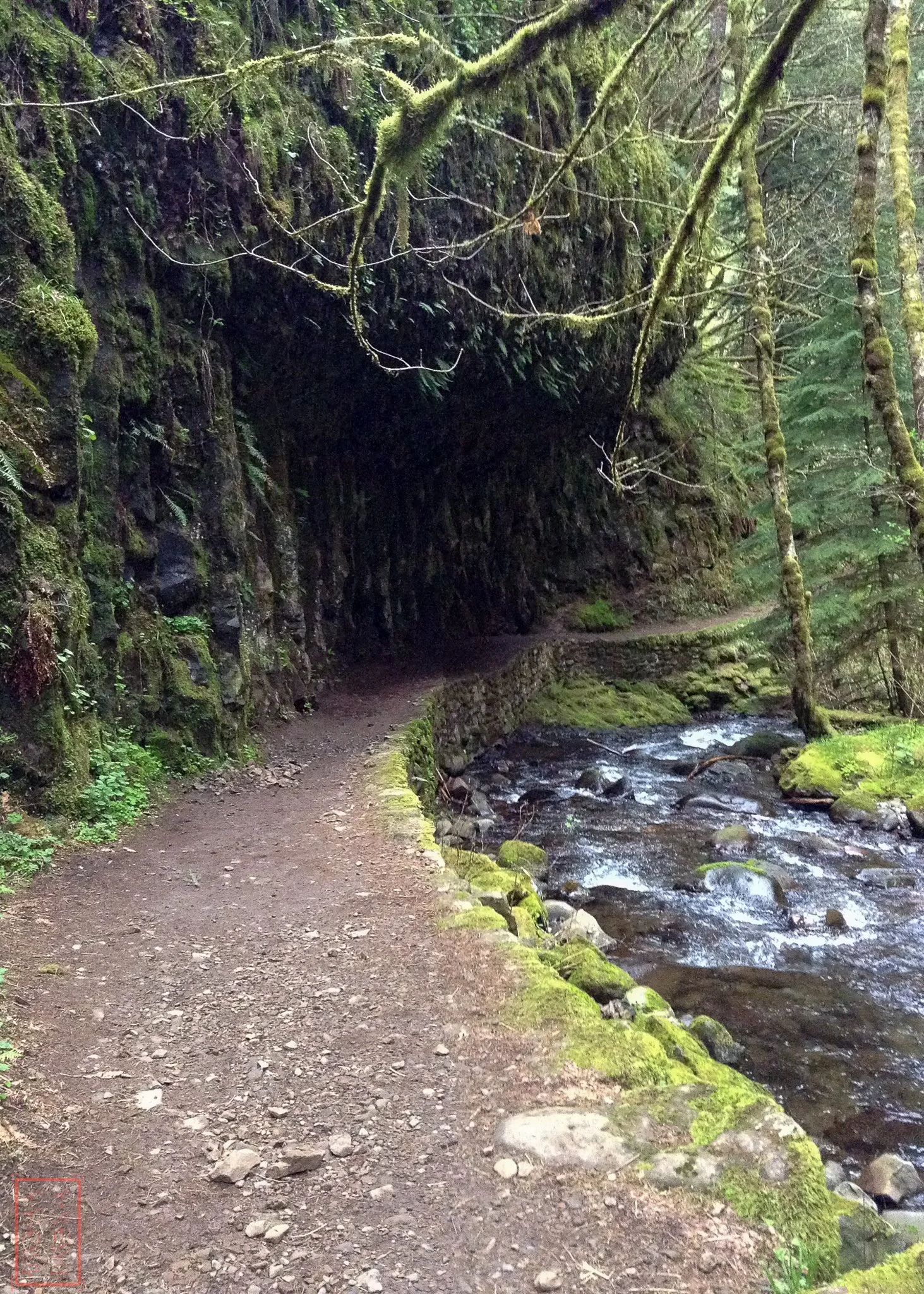 OR: Wahkeena Falls to Multnomah Falls