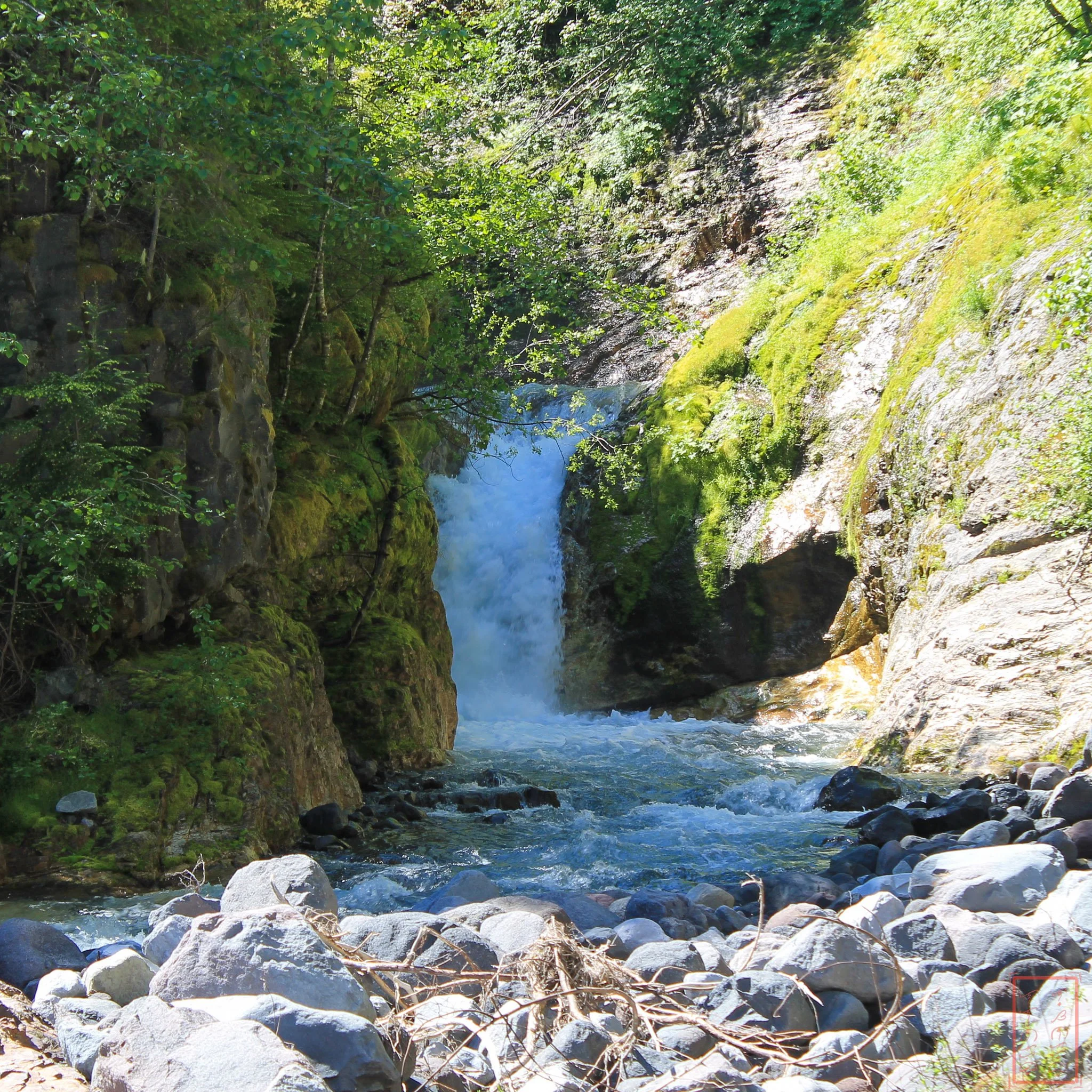 WA: Lava Canyon