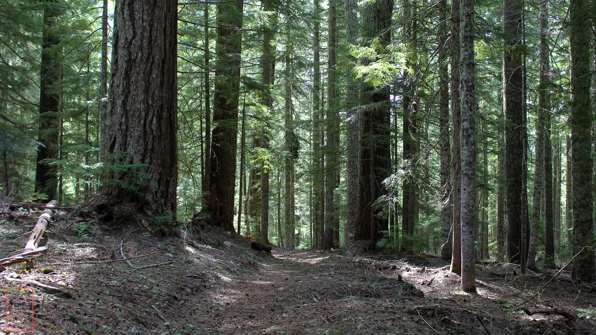 OR: Iron Mountain