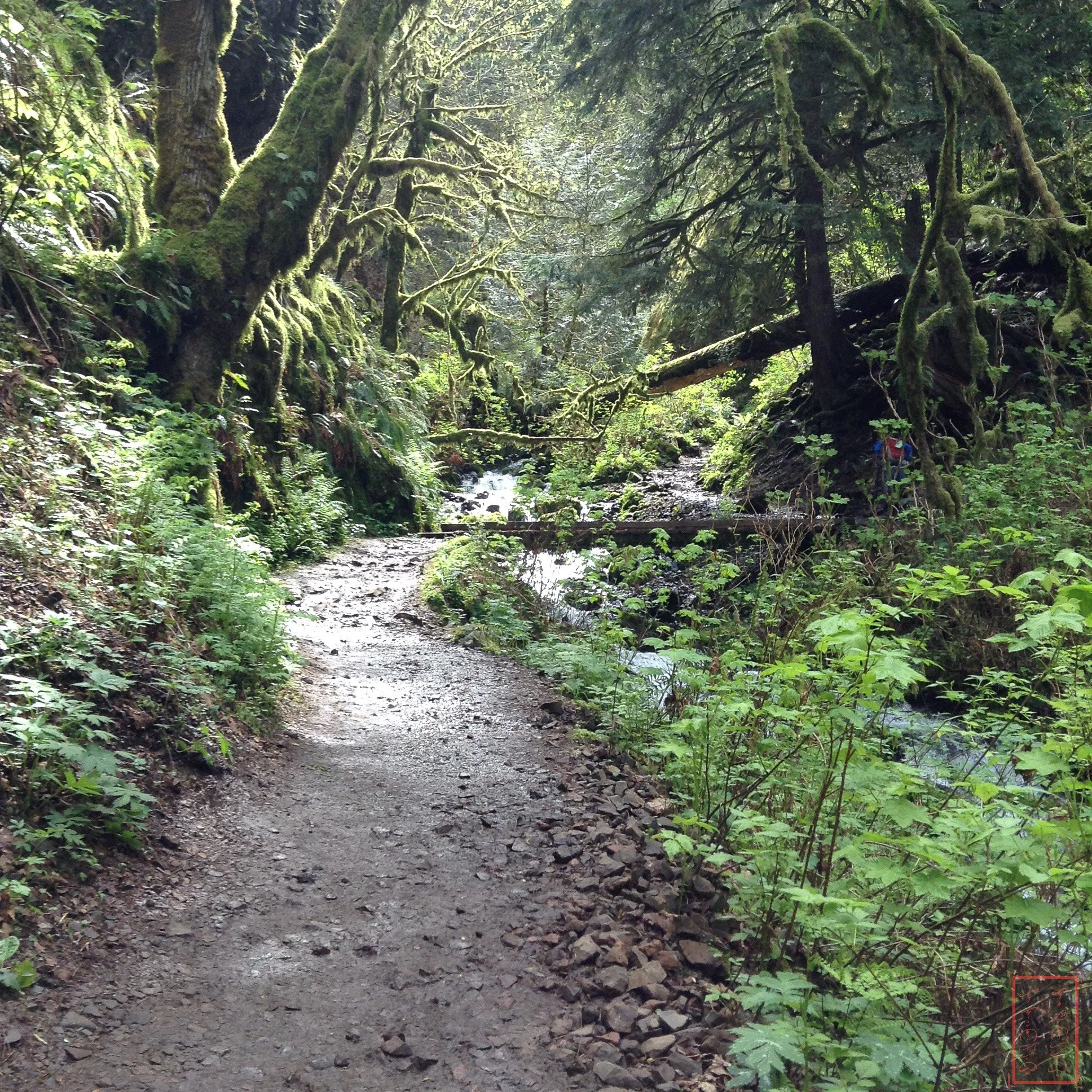OR: Wahkeena Falls to Multnomah Falls
