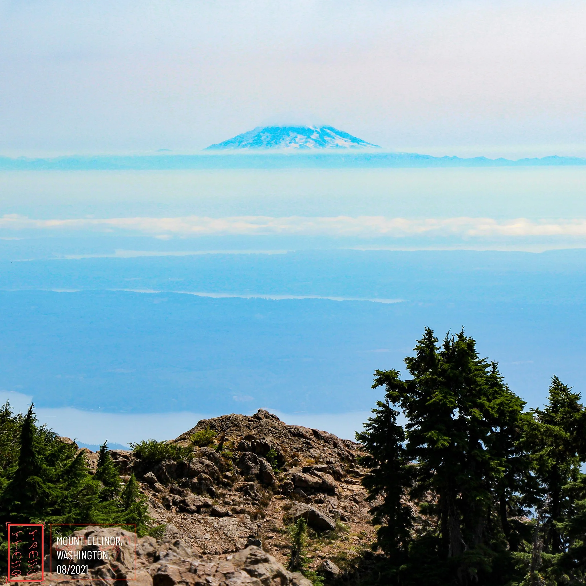 WA: Mount Ellinor