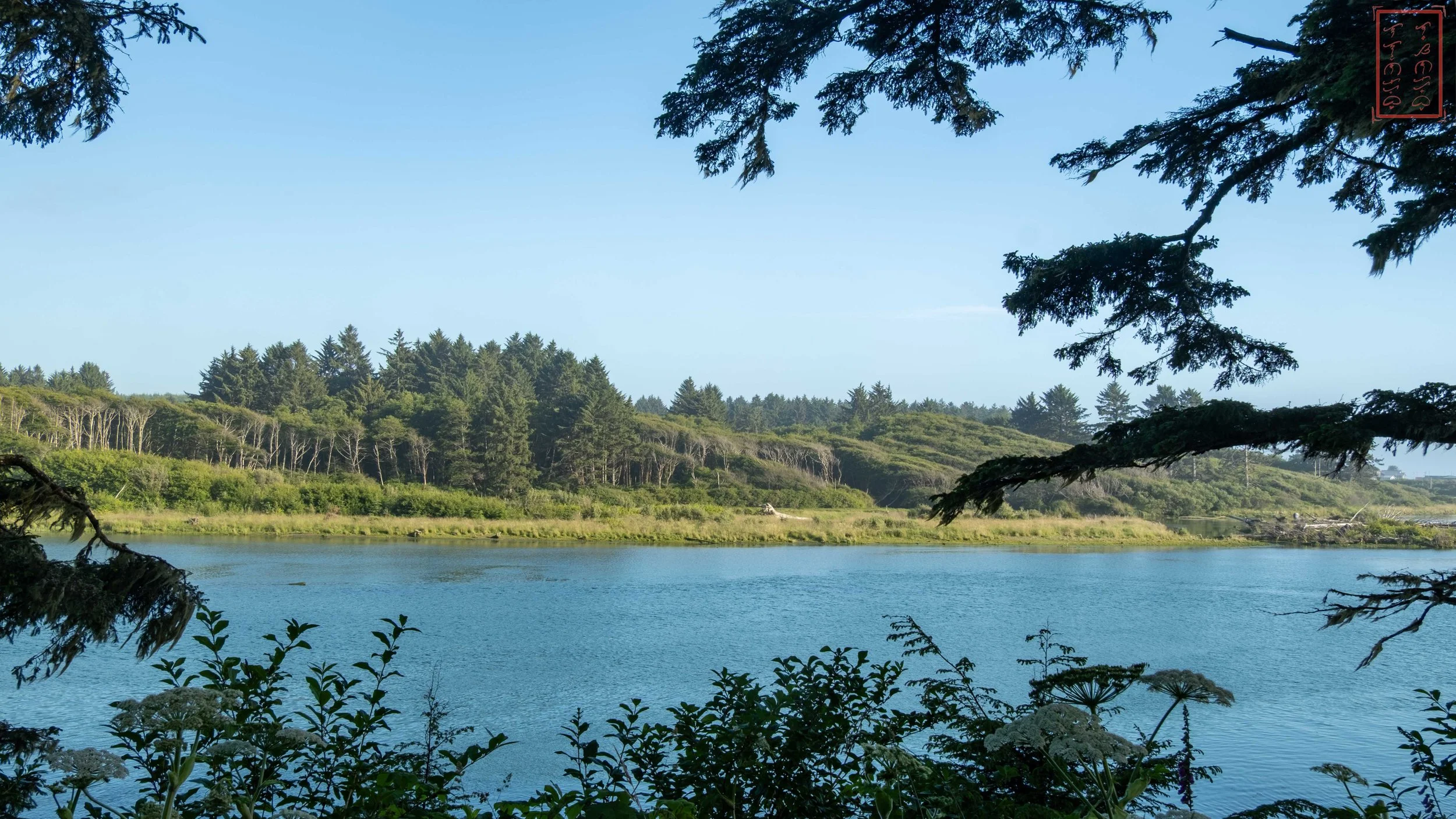 WA: Rialto Beach