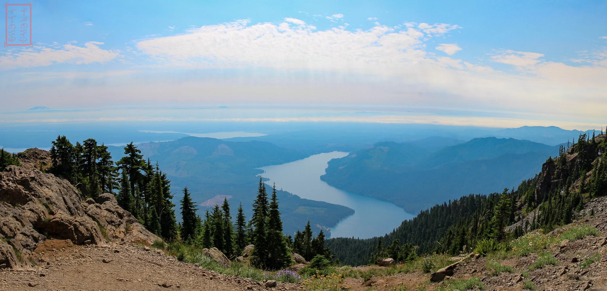 WA: Mount Ellinor