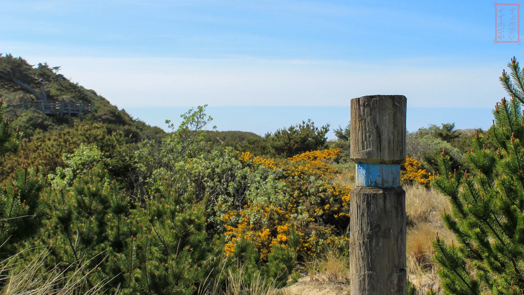 OR: Sutton Creek