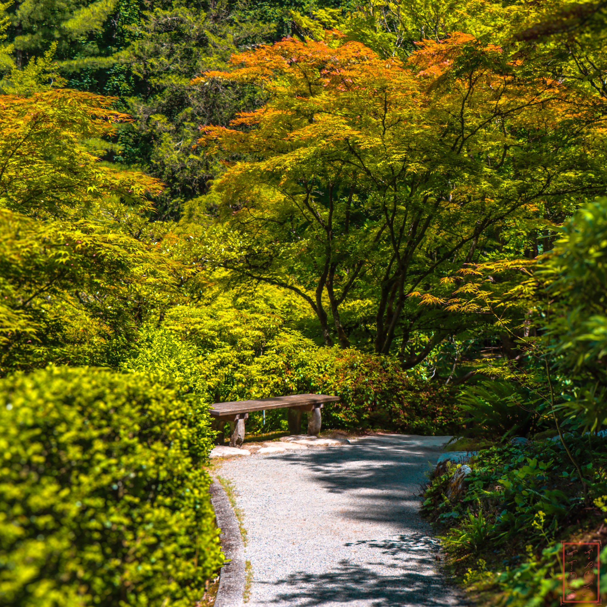 JapaneseGardens_1x1-7.jpg