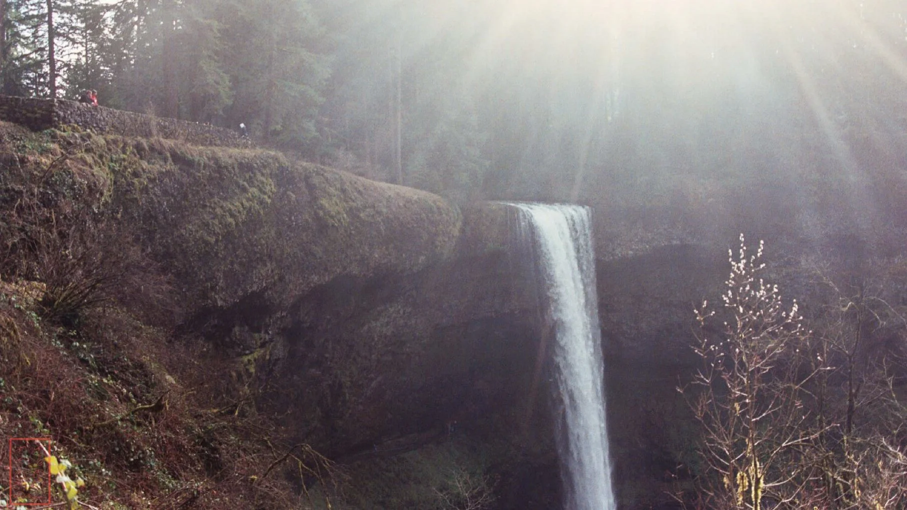OR: Silver Falls