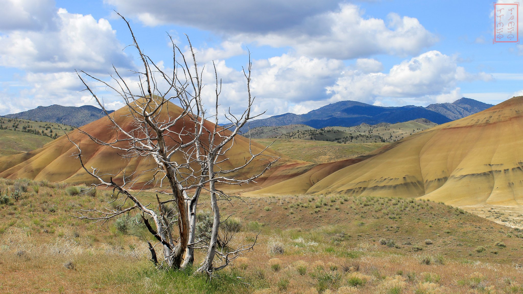 OR: Painted Hills
