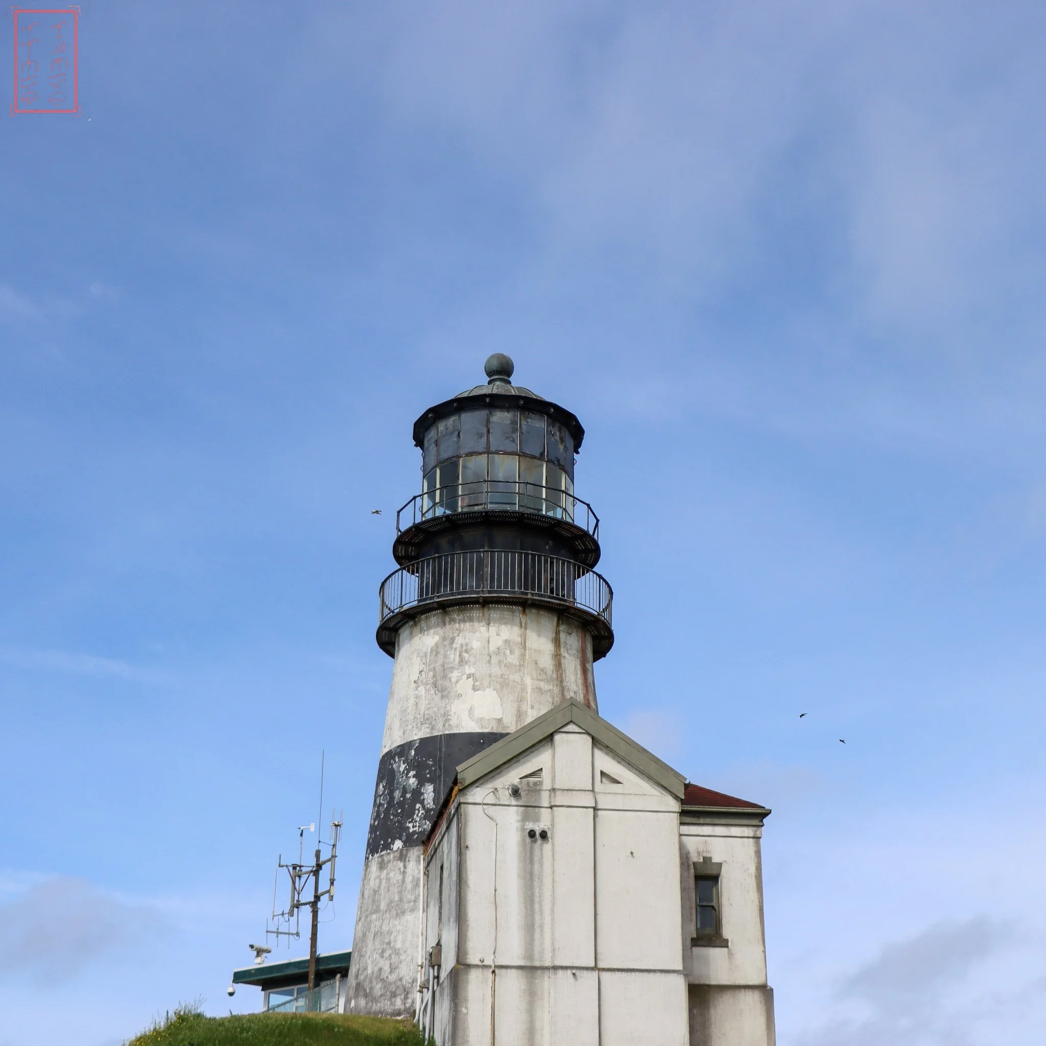 WA: Cape Disappointment
