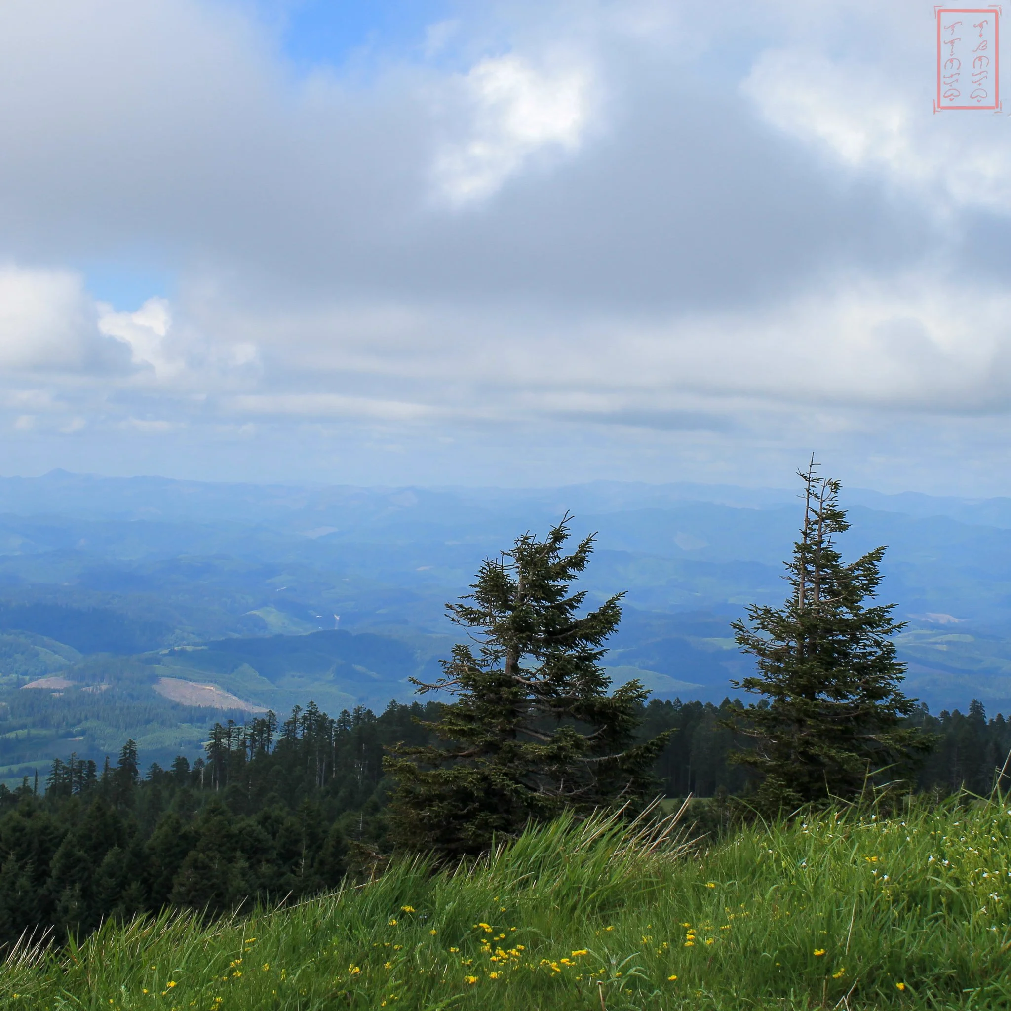OR: Mary's Peak