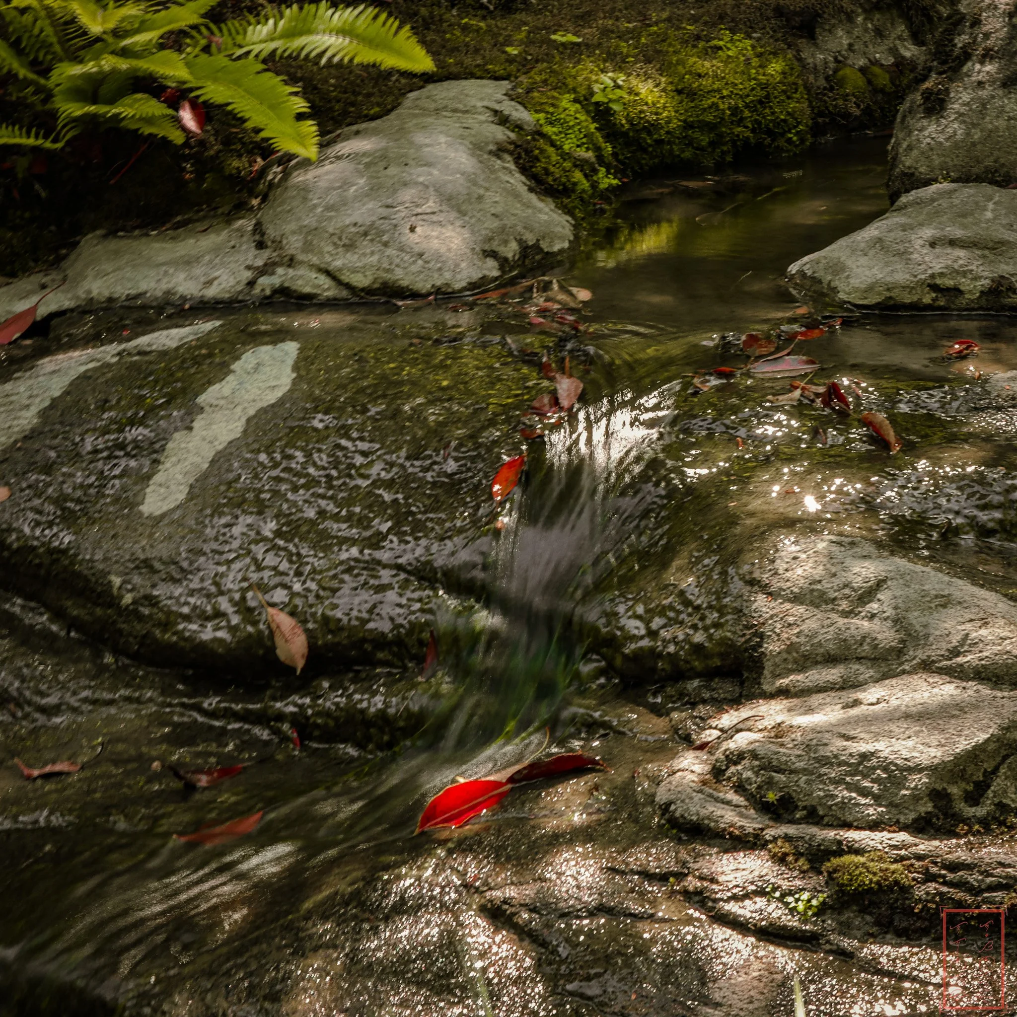 JapaneseGardens_1x1-8.jpg