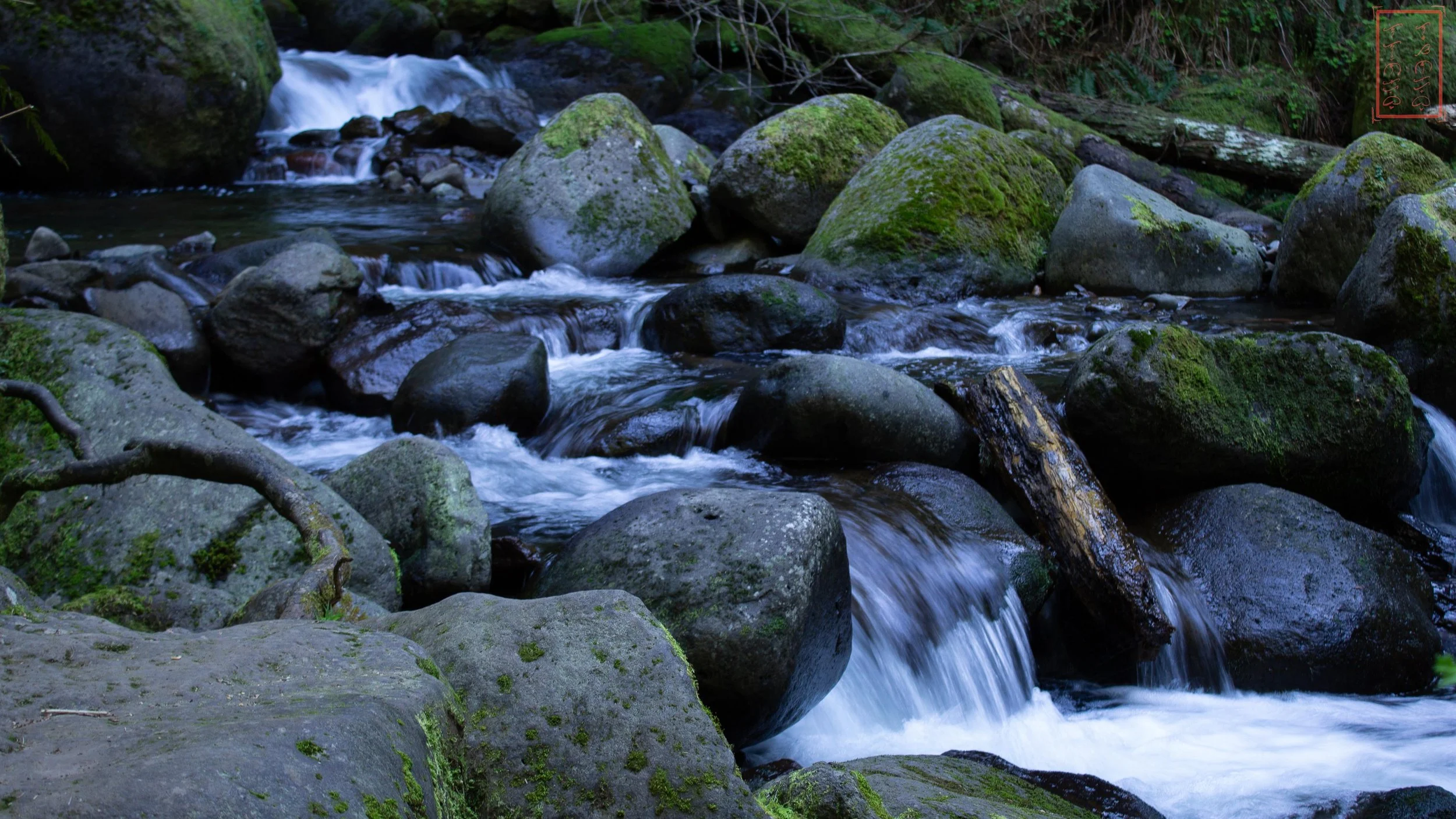 OR: Oneonta Gorge