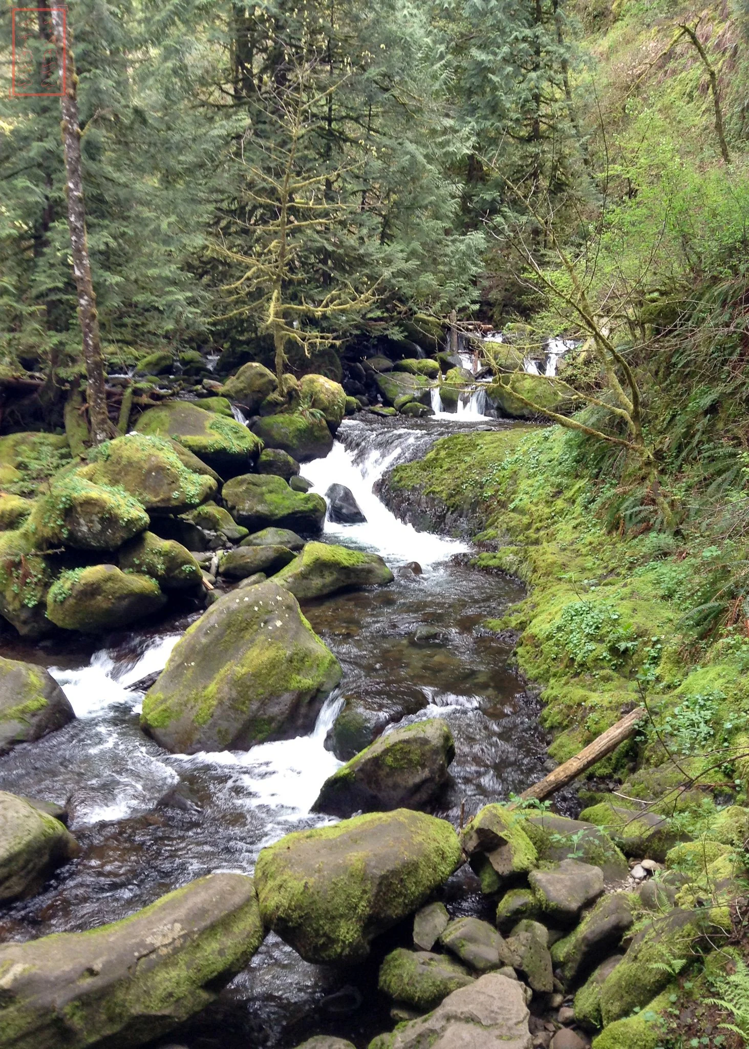 OR: Wahkeena Falls to Multnomah Falls
