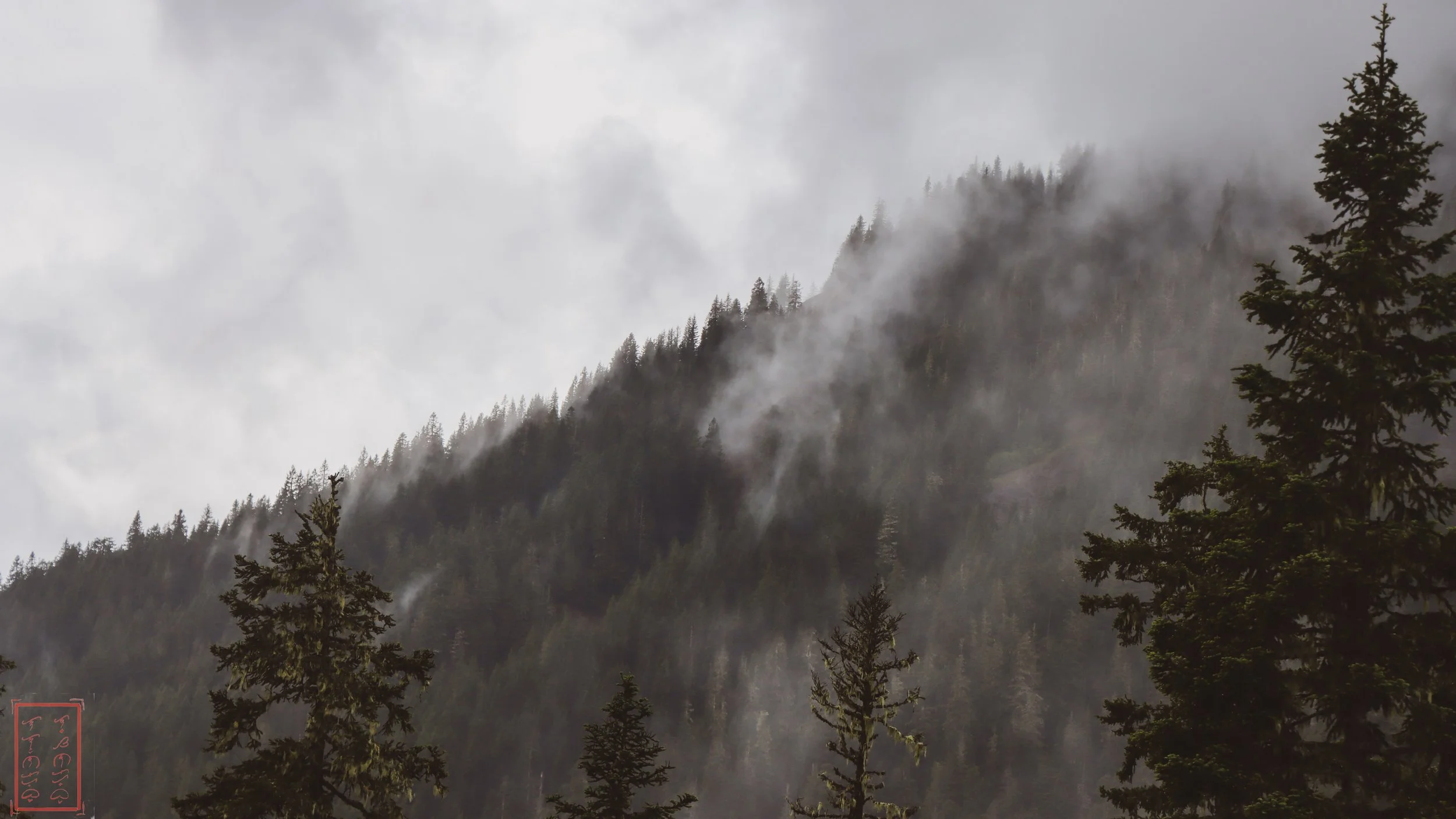WA: State Route 410