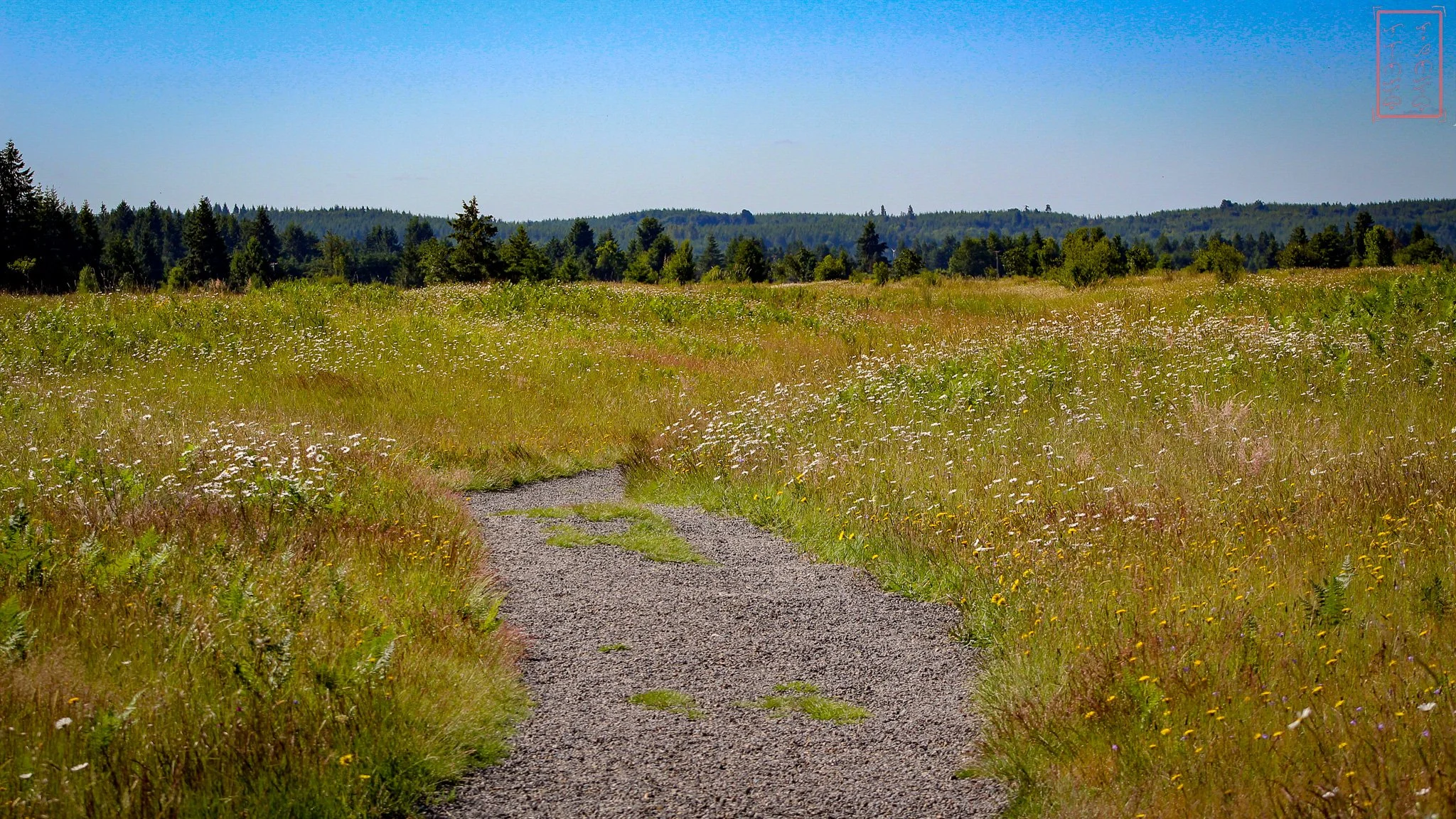 WA: Mima Mounds