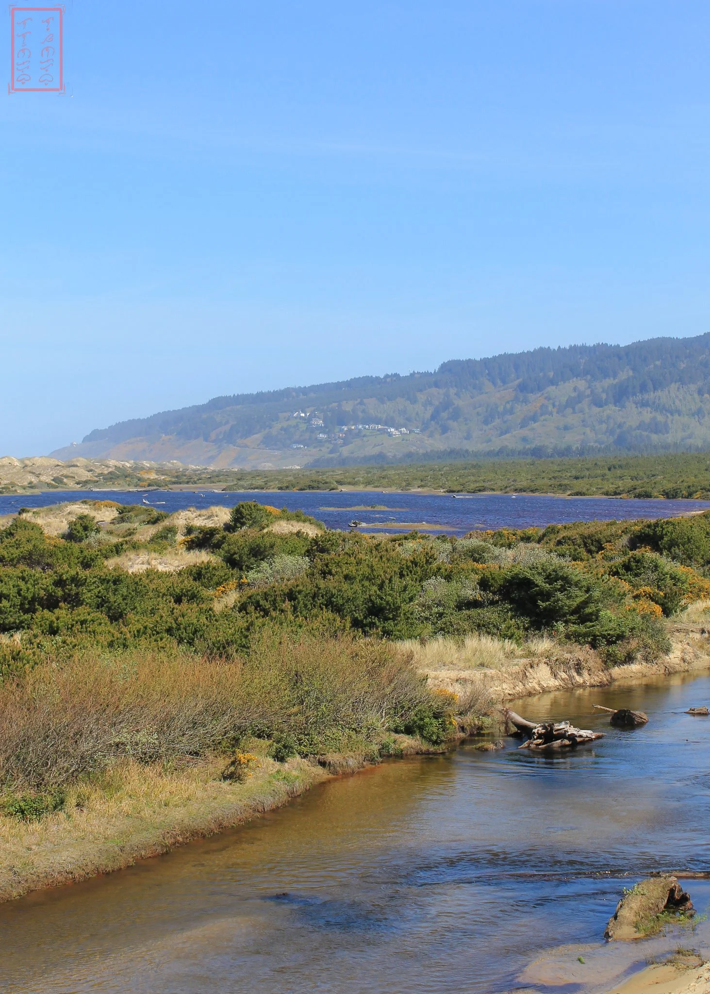 OR: Sutton Creek