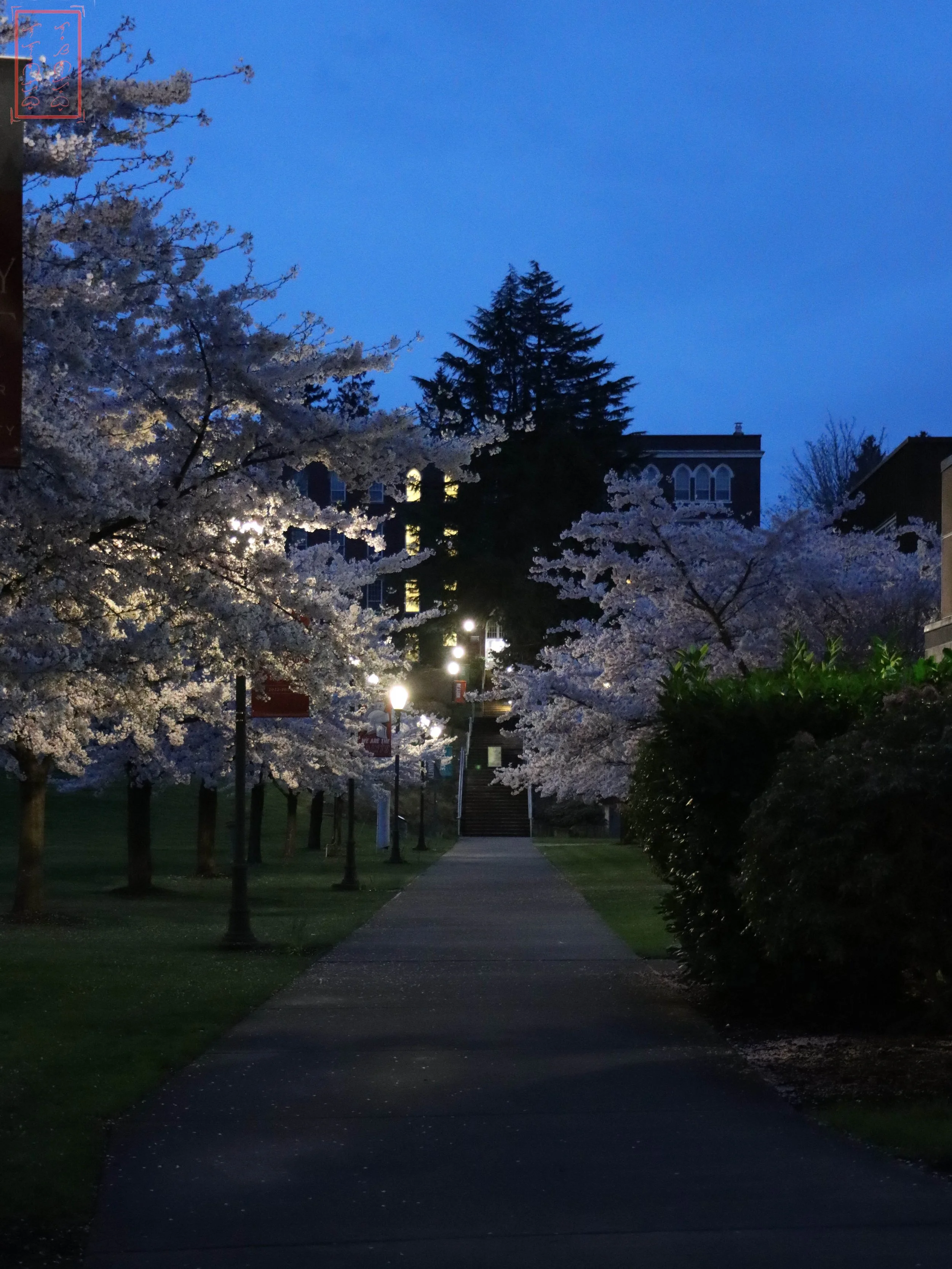 St. Martin's University