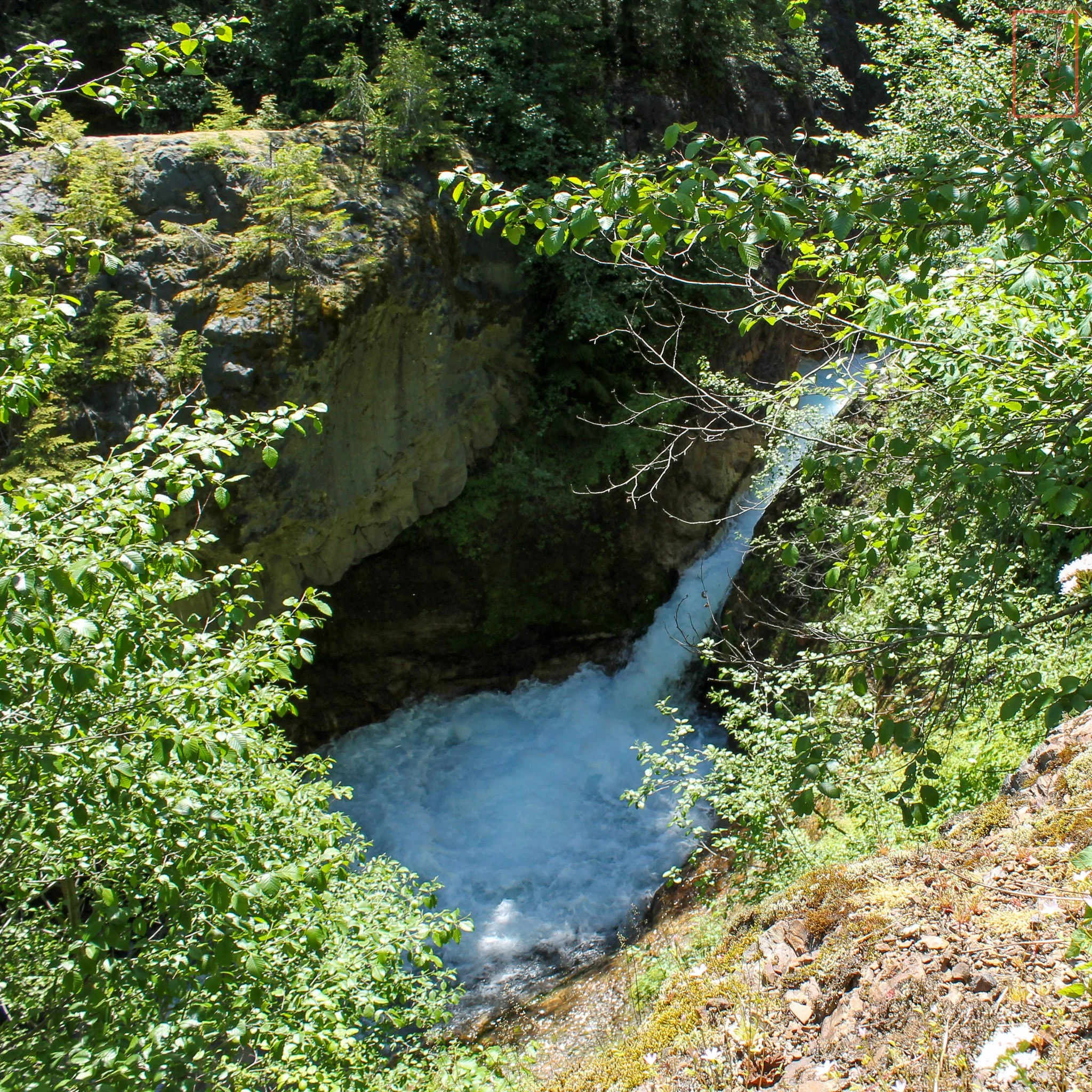 WA: Lava Canyon