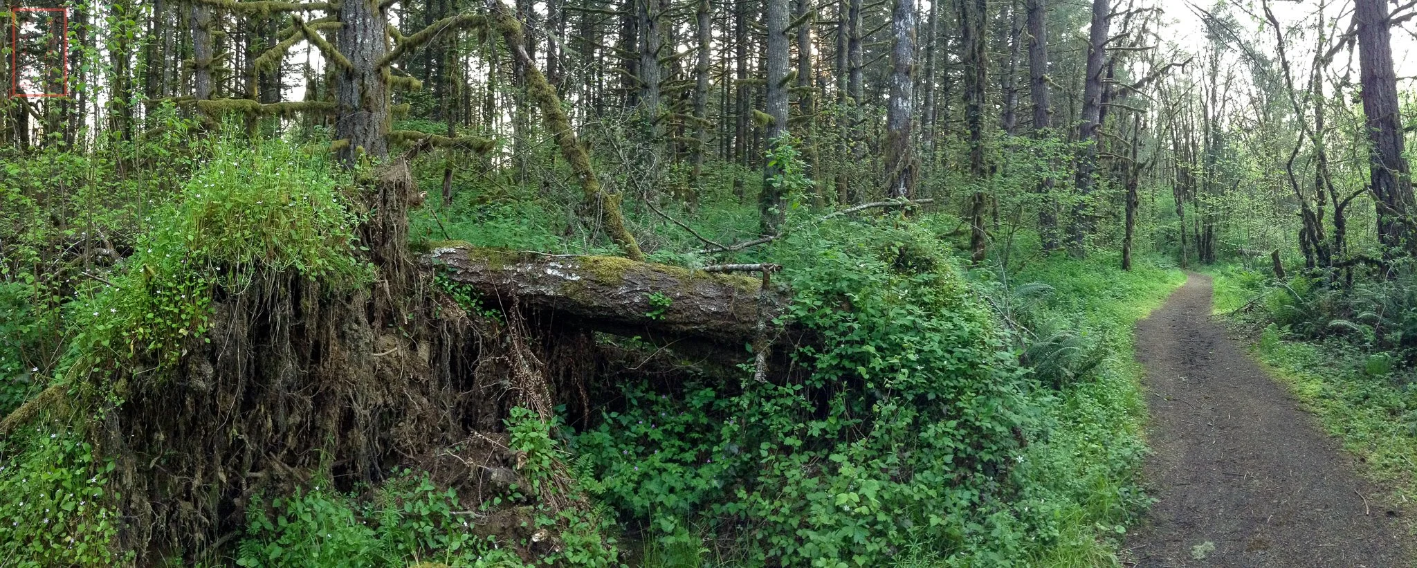 OR: William L. Finley National Wildlife Refuge