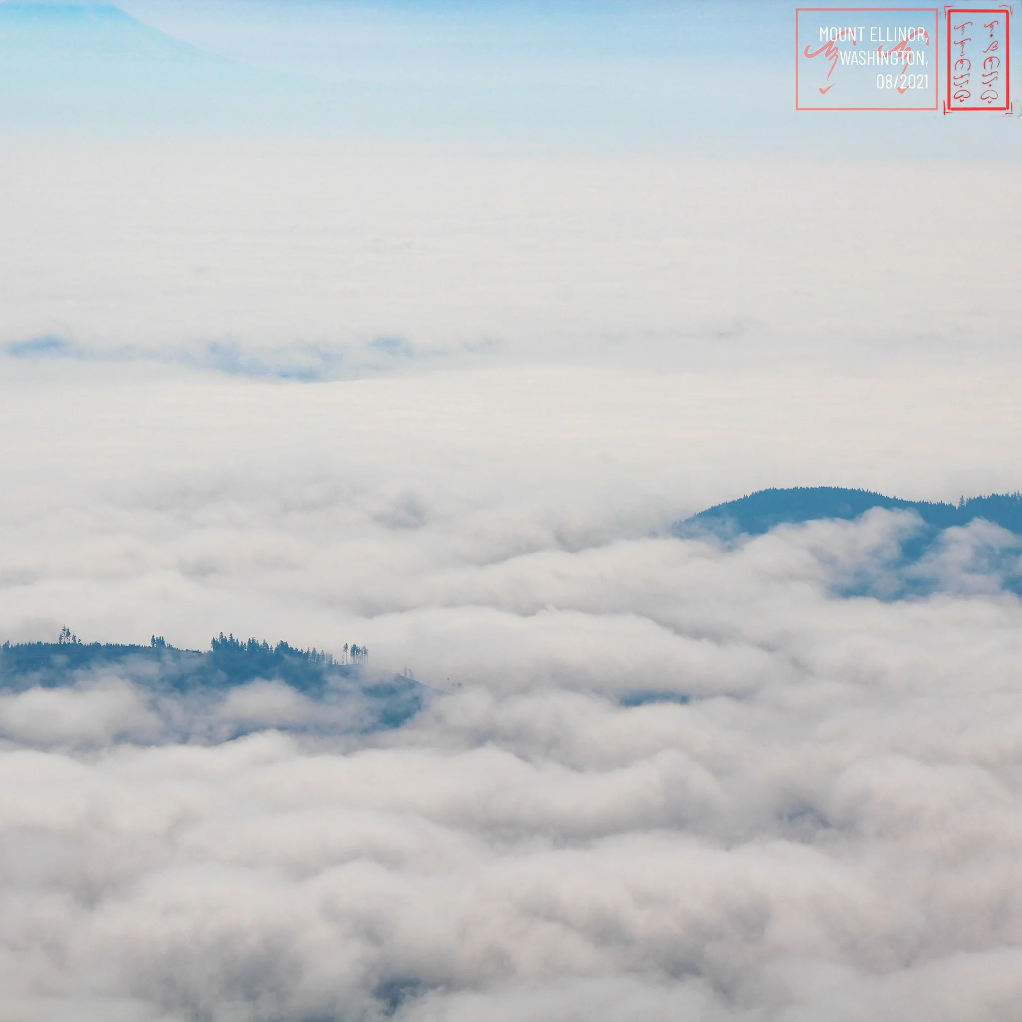 WA: Mount Ellinor