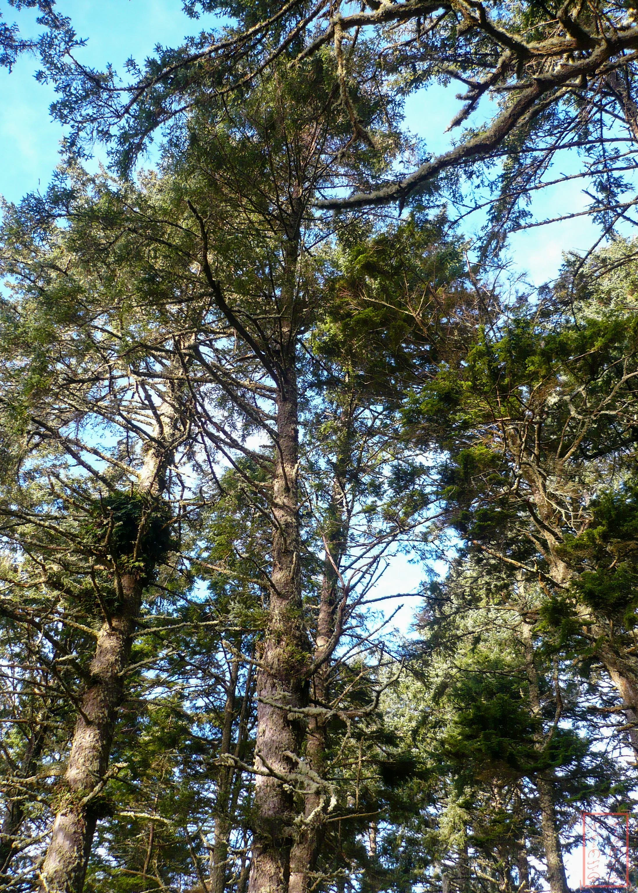 OR: Cape Lookout