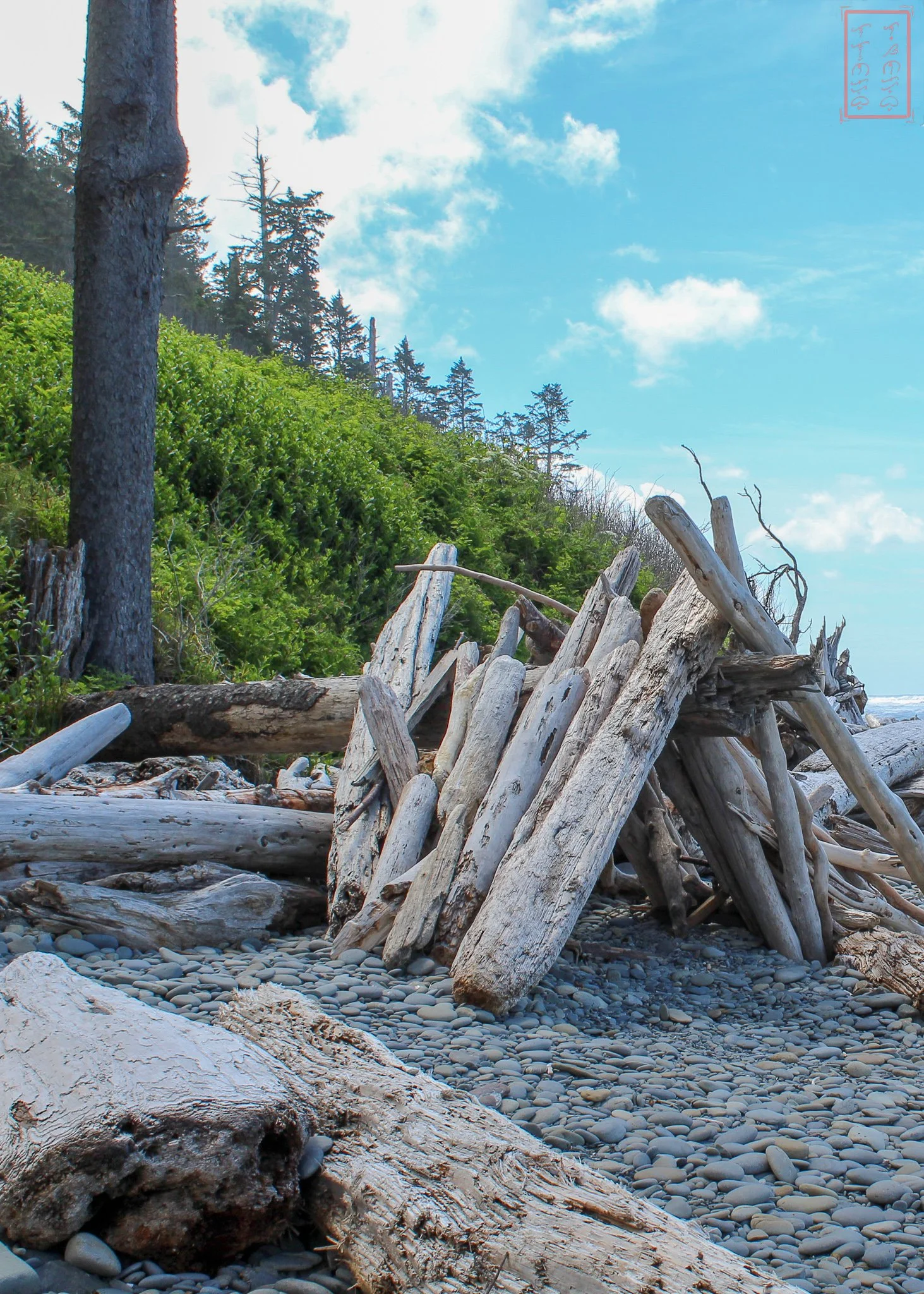 WA: Ruby Beach