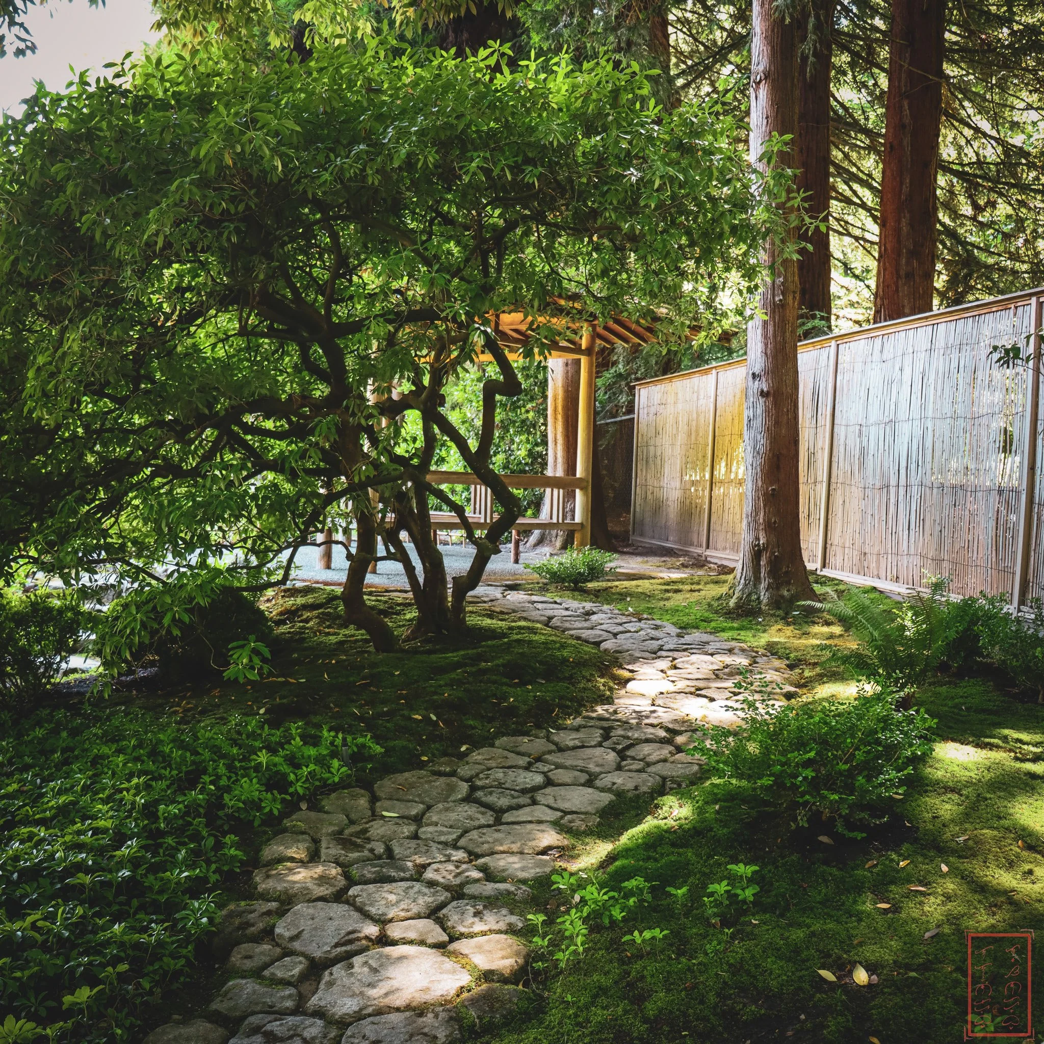 JapaneseGardens_1x1-2.jpg
