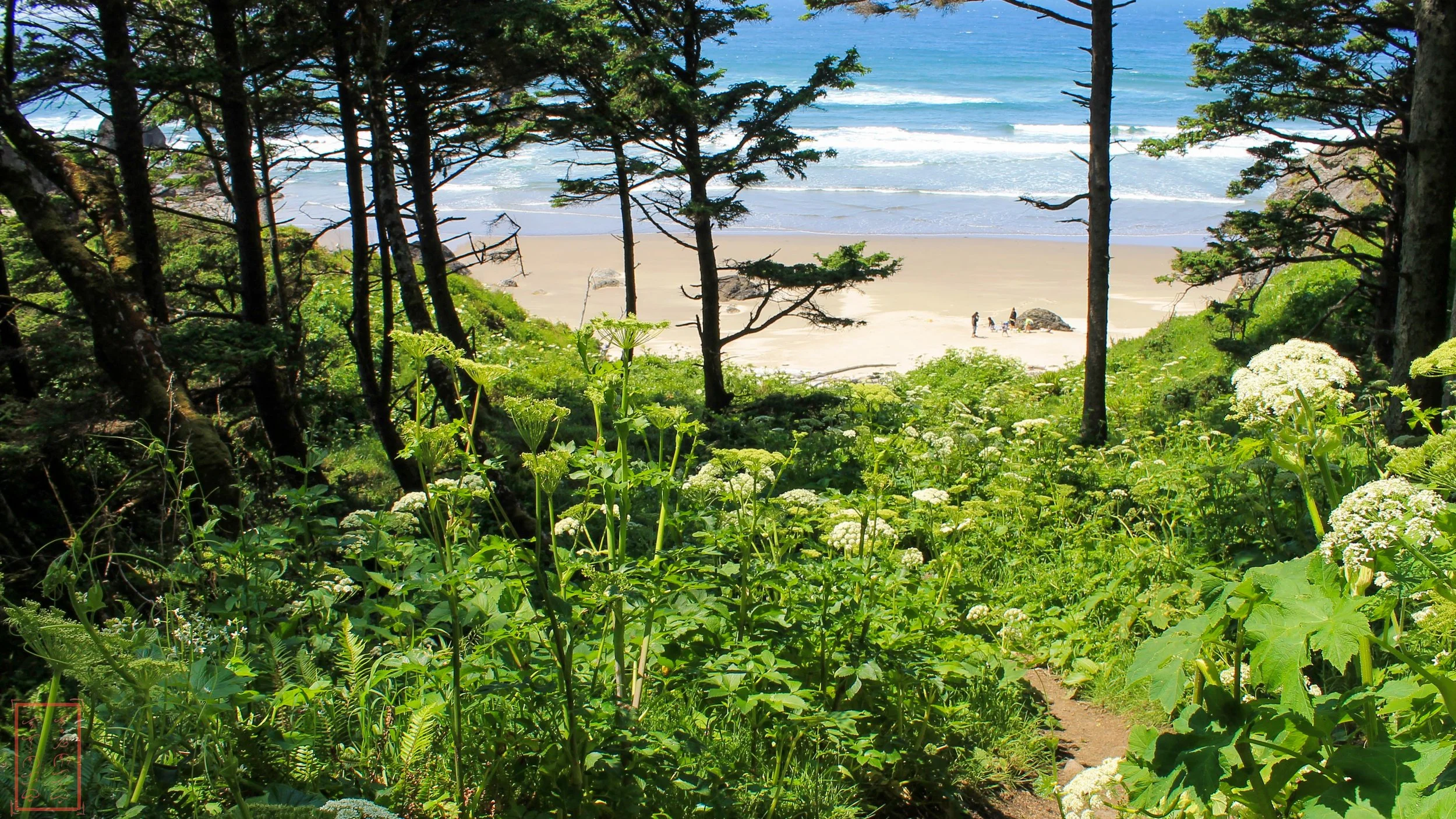 OR: Ecola State Park