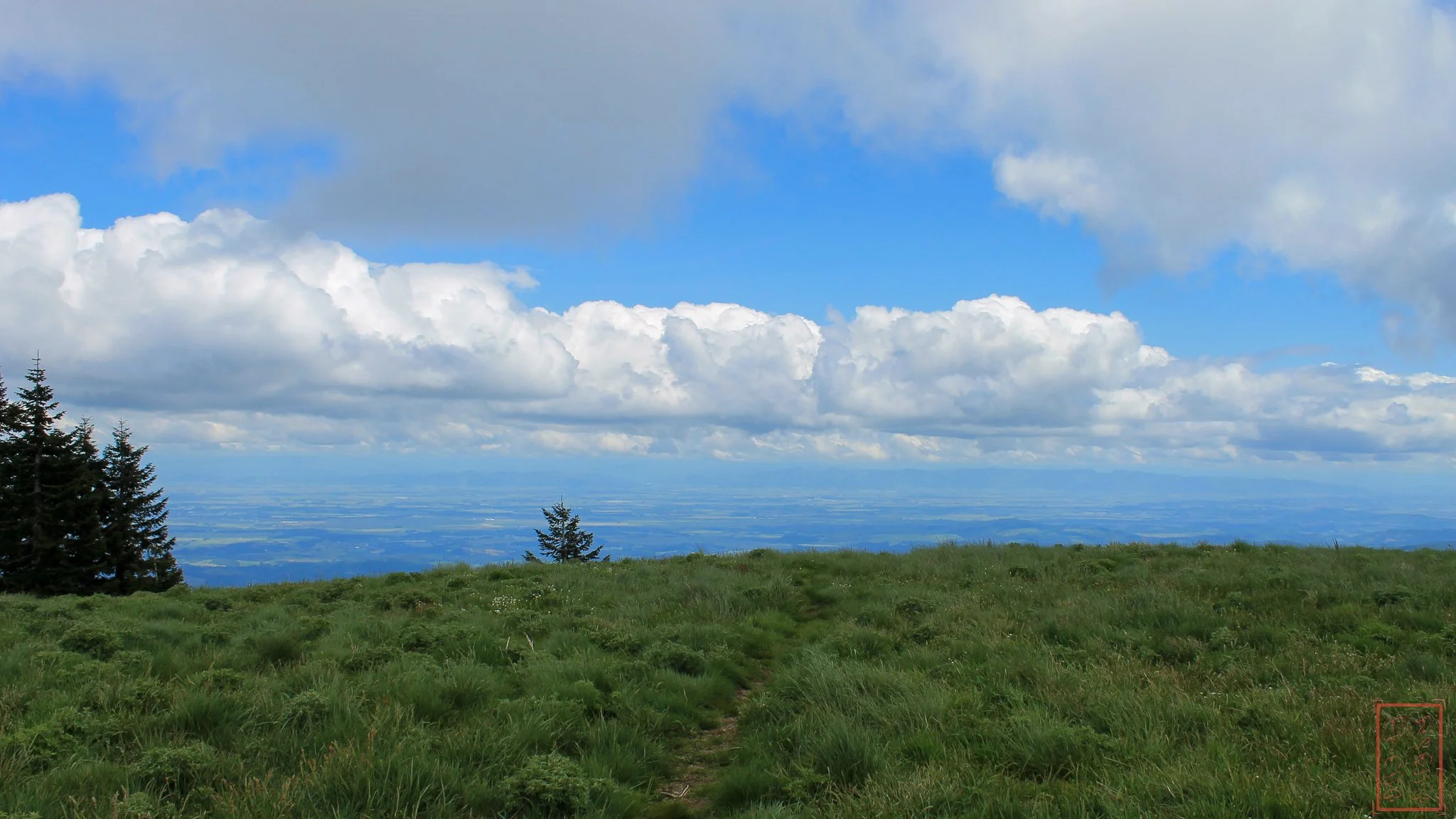 OR: Mary's Peak
