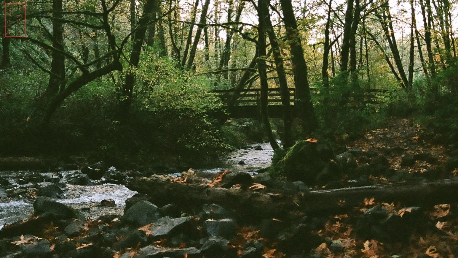 OR: Bridal Veil Falls