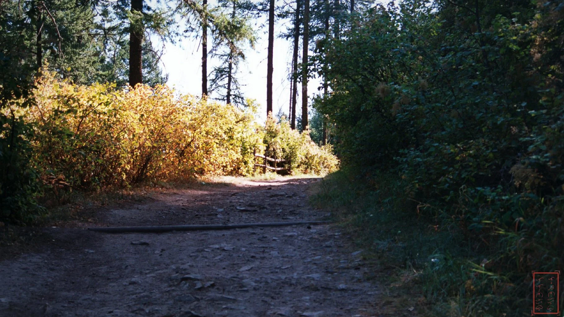 WA:  Kamiak Butte County Park